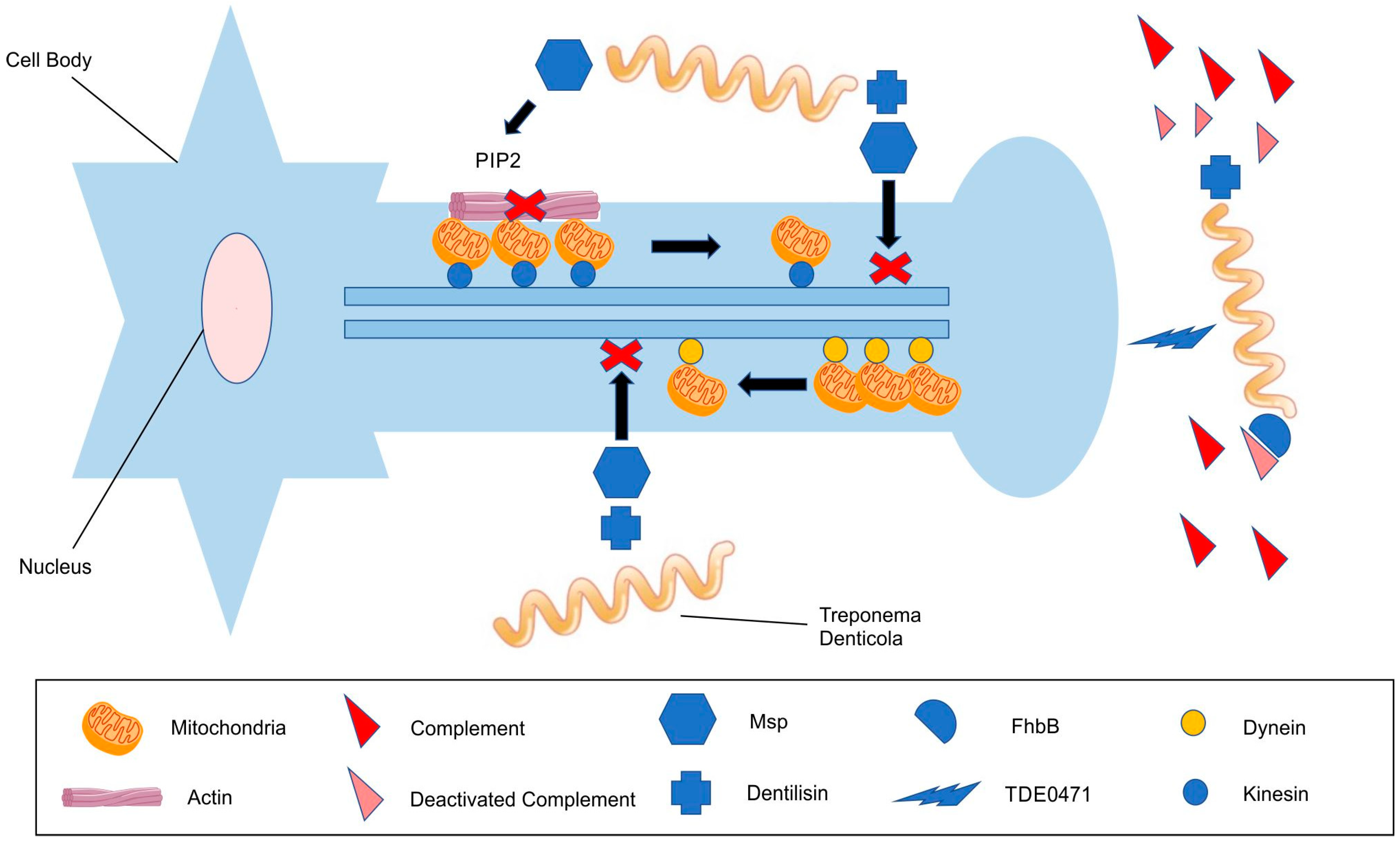 Ijerph 20 06049 g001 Ijerph 20 06049 g001