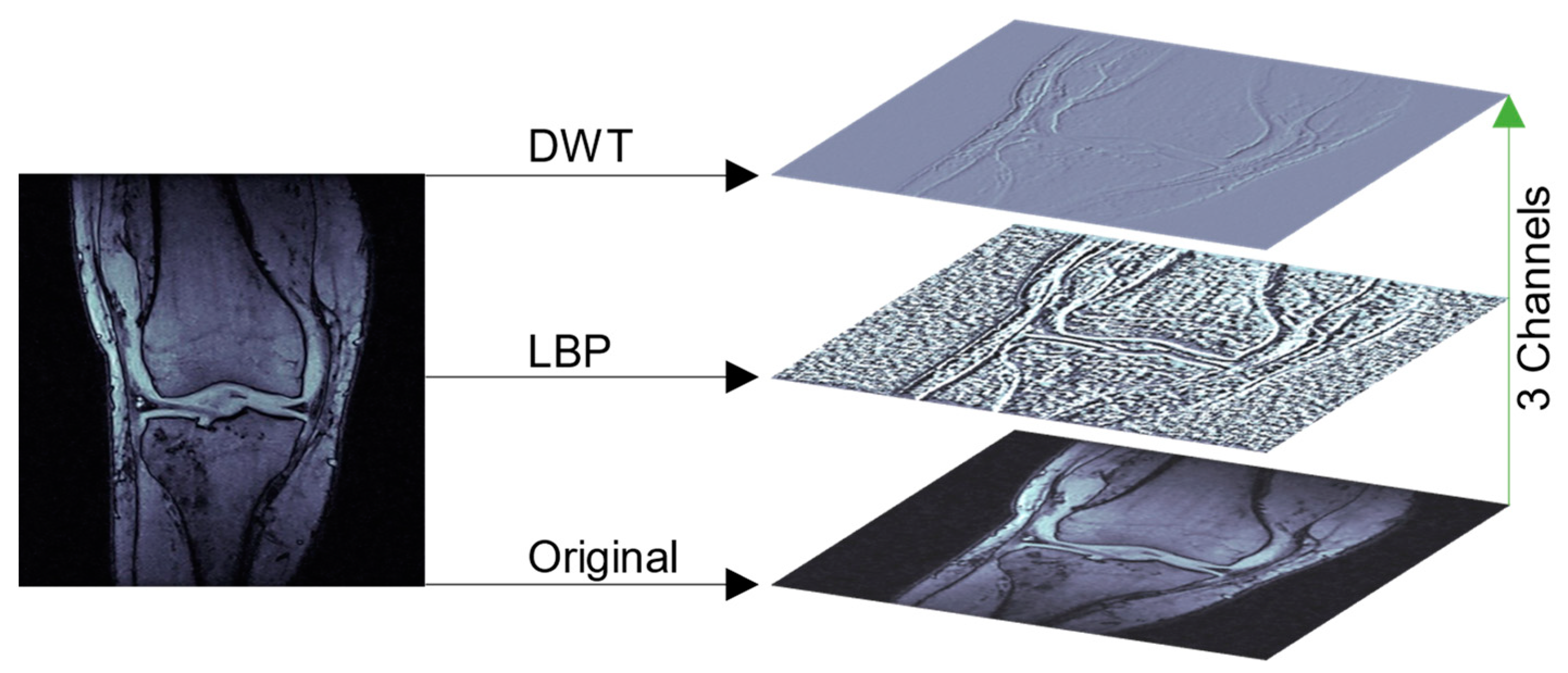 Ijerph 20 06059 g001