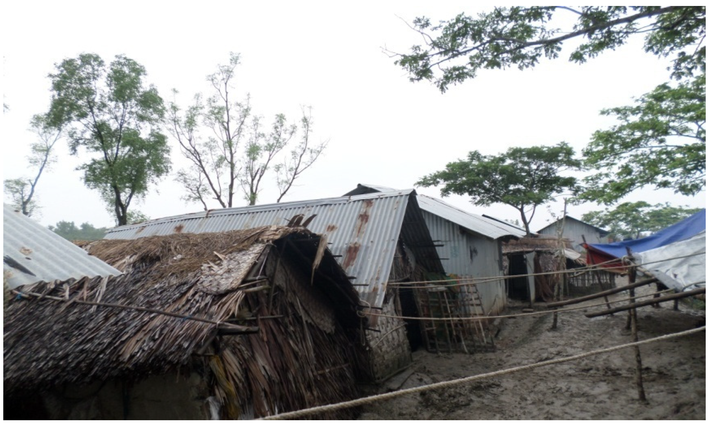 Ijerph 20 06086 g006