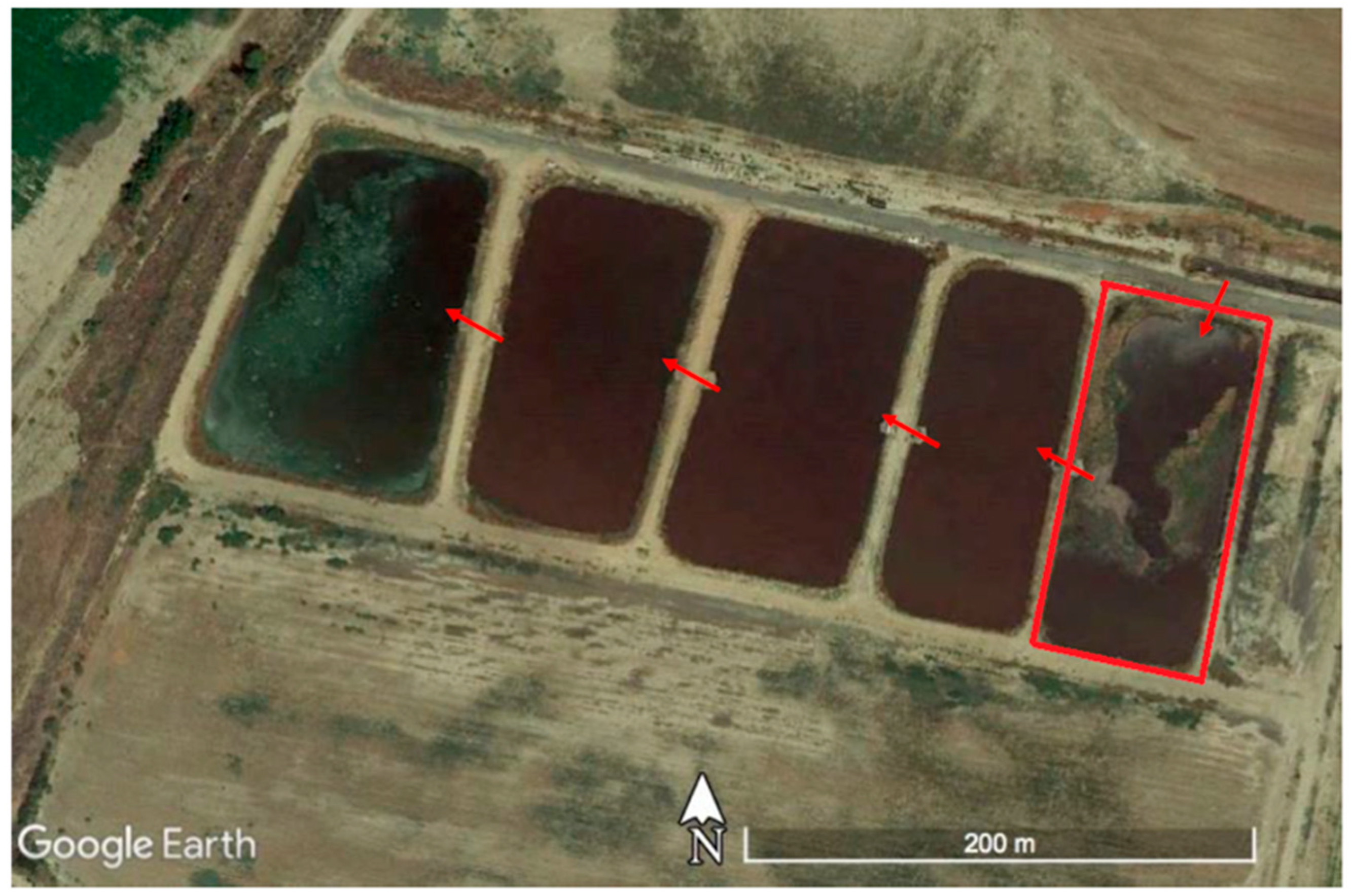 Ijerph 20 06110 g007