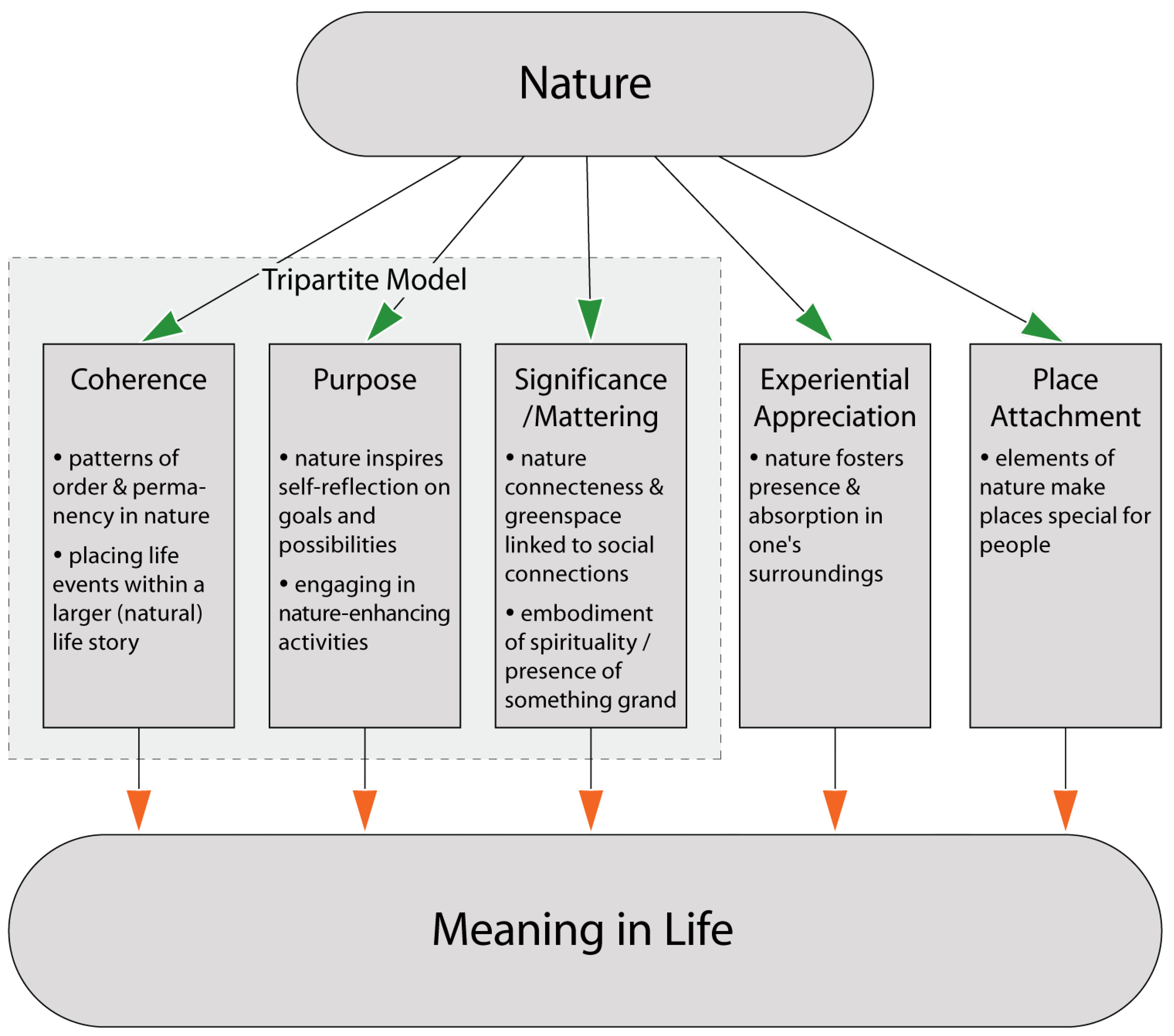 Ijerph 20 06170 g001