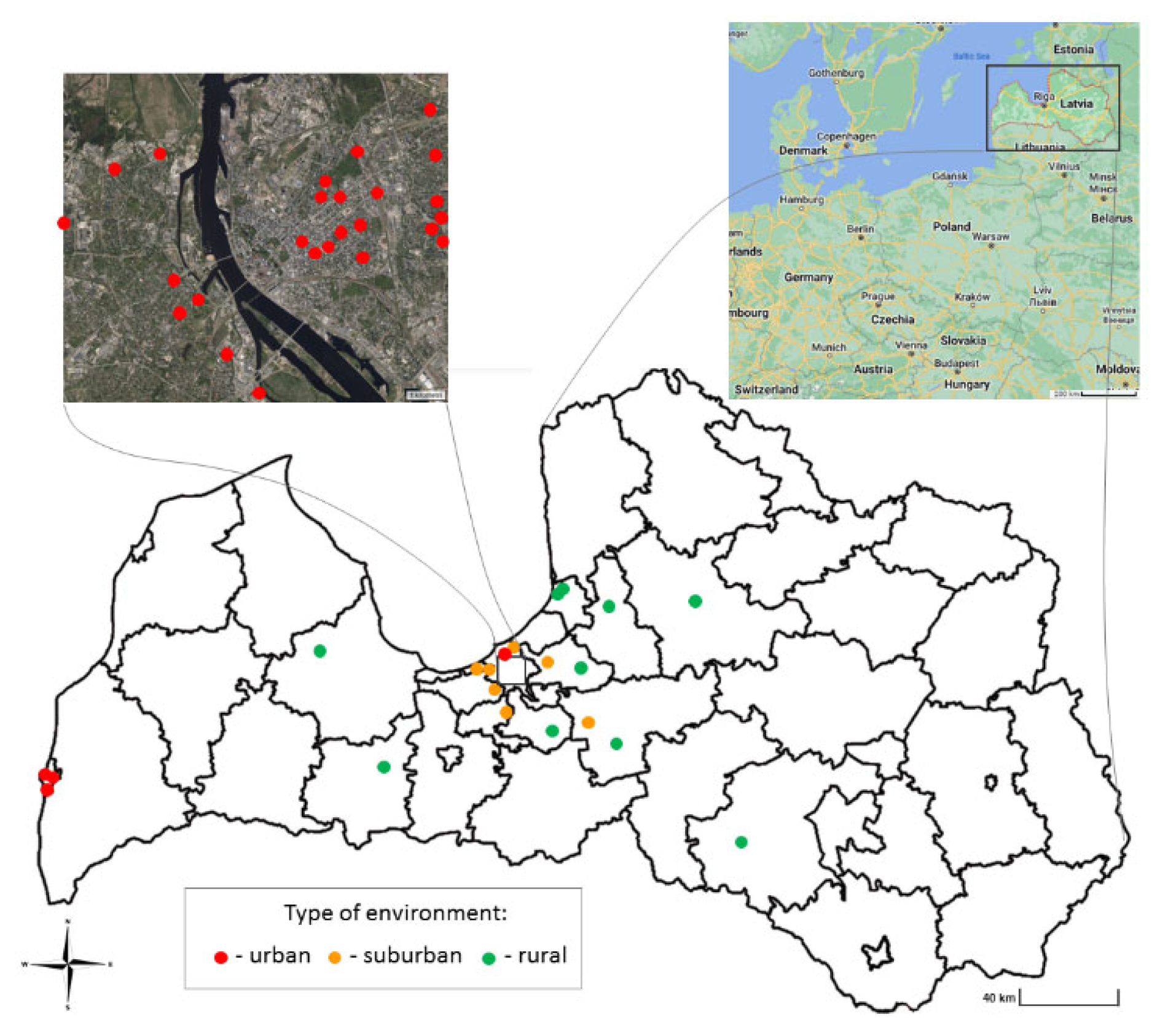 IJERPH | Free Full-Text | Distribution of Minor and Major Metallic