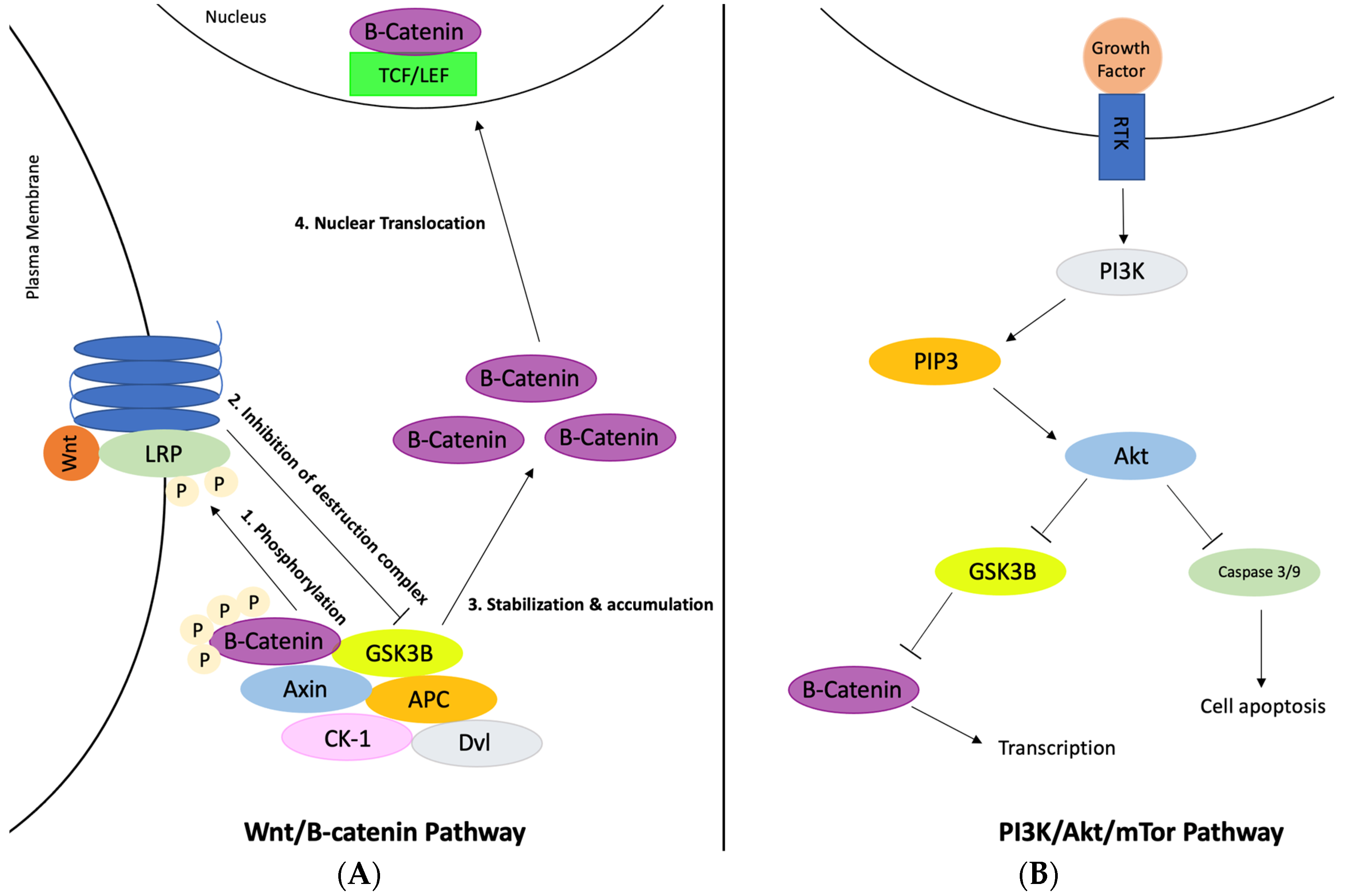 Ijerph 20 06217 g003