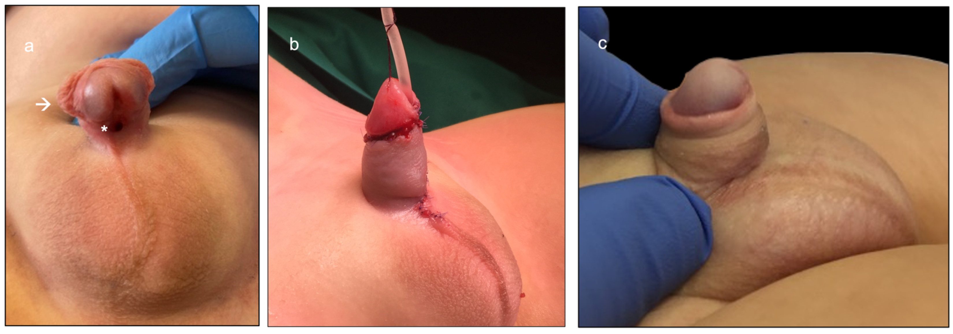 Ijerph 20 06246 g001 550