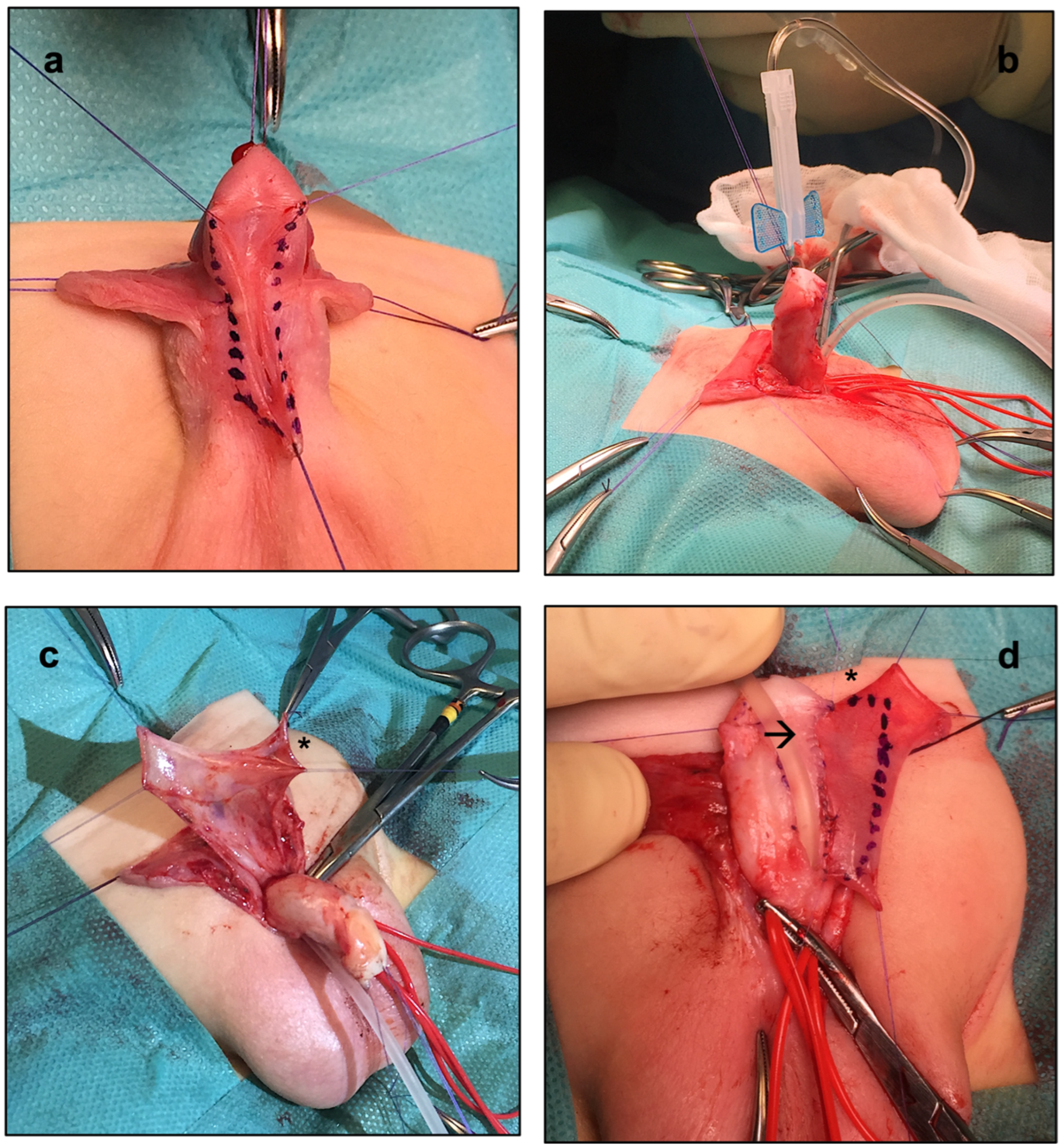 Ijerph 20 06246 g002 550