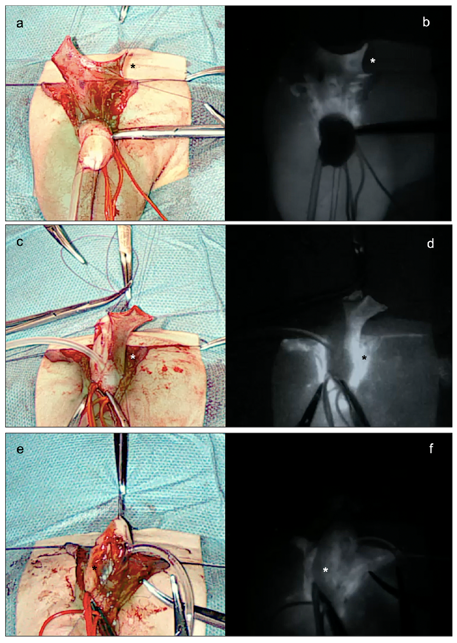 Ijerph 20 06246 g003 550
