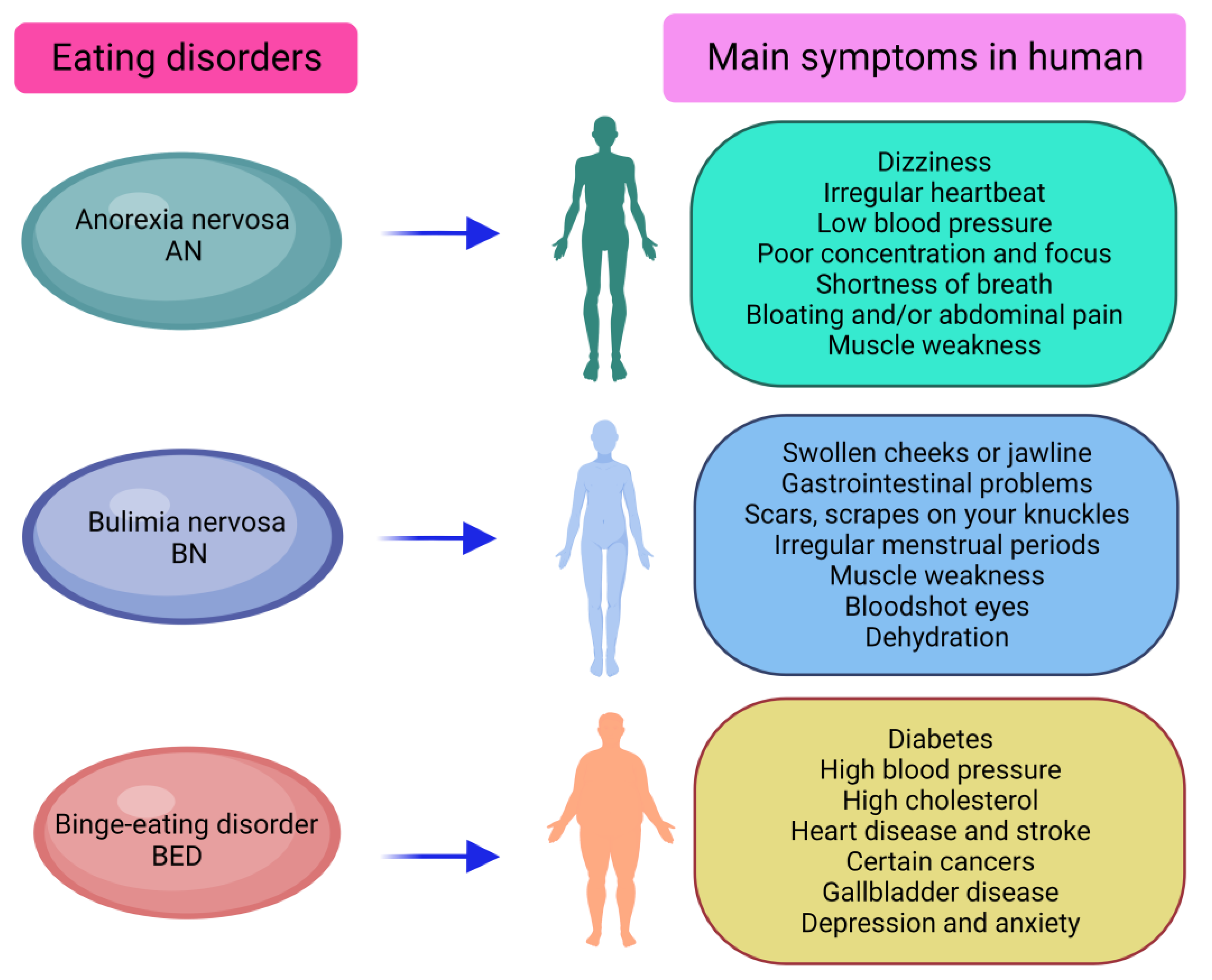 bulimia causes