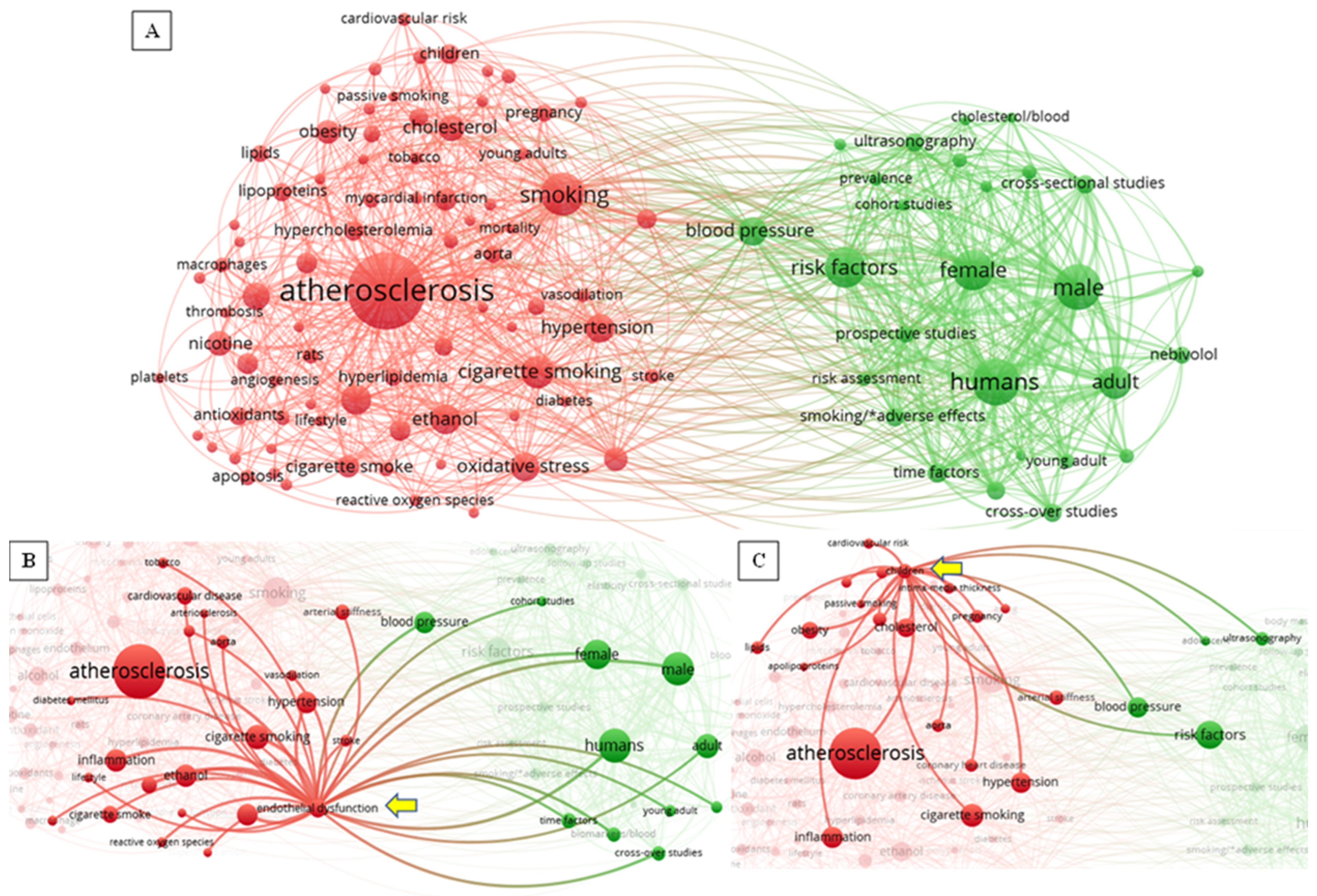 Ijerph 20 06398 g002 Ijerph 20 06398 g002