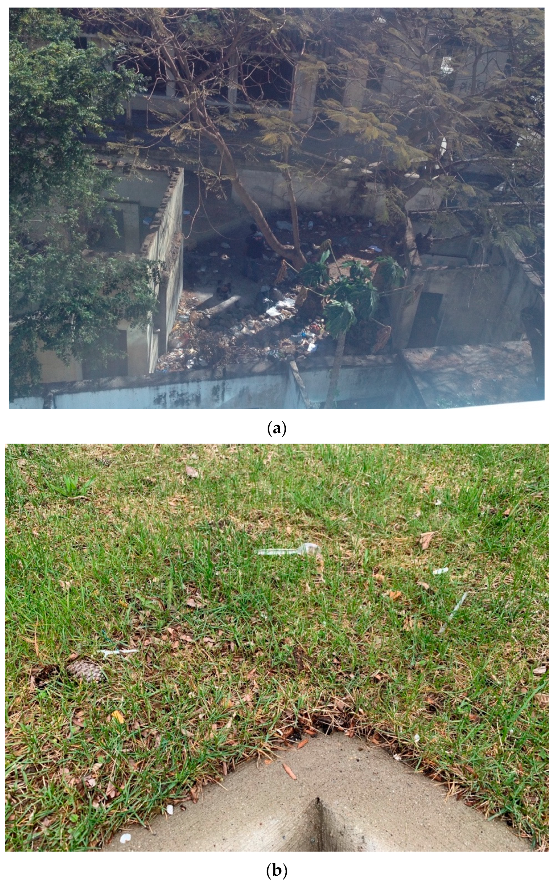 Ijerph 20 06434 g001 Ijerph 20 06434 g001