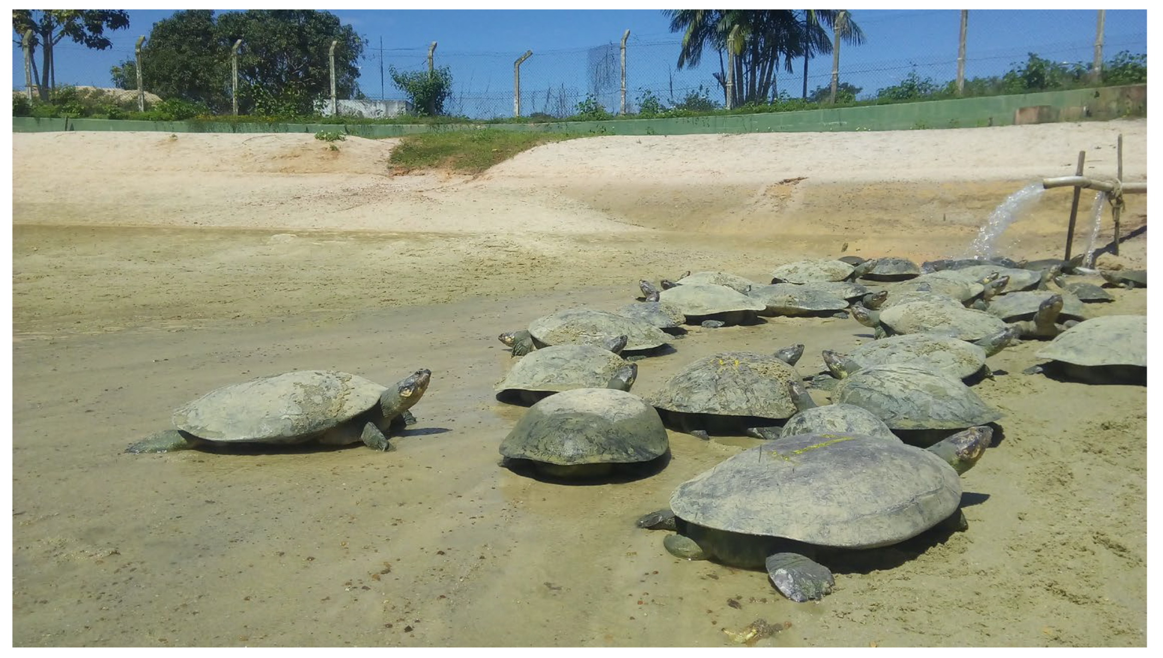 Ijerph 20 06489 g001 Ijerph 20 06489 g001