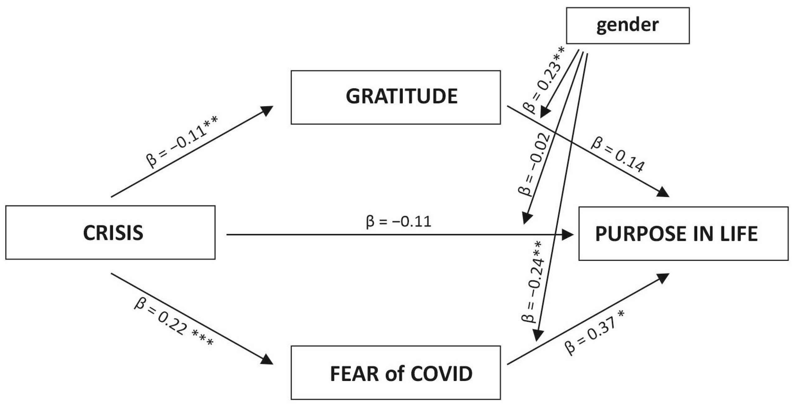 Ijerph 20 06490 g001 Ijerph 20 06490 g001