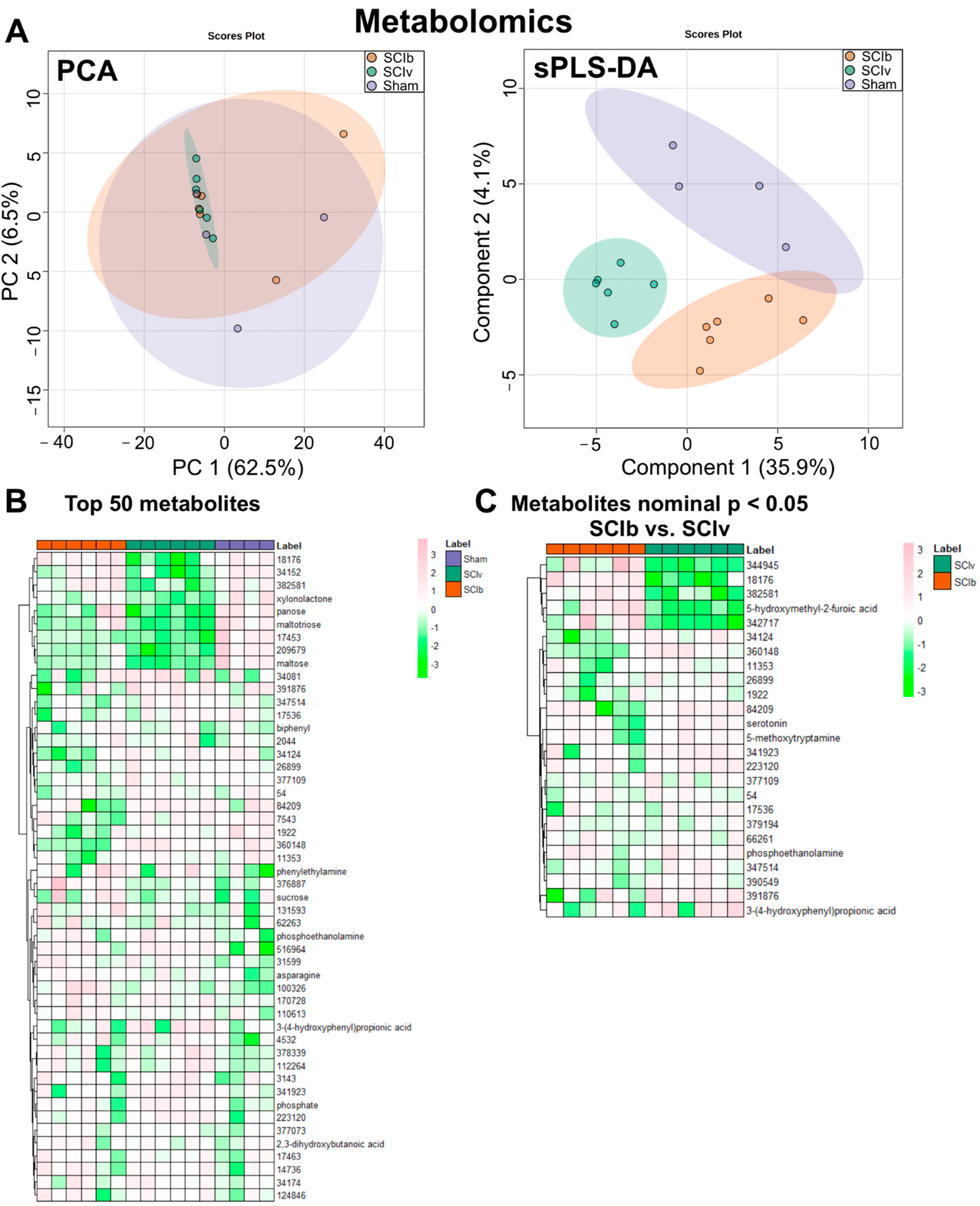 Ijerph 20 06591 g002