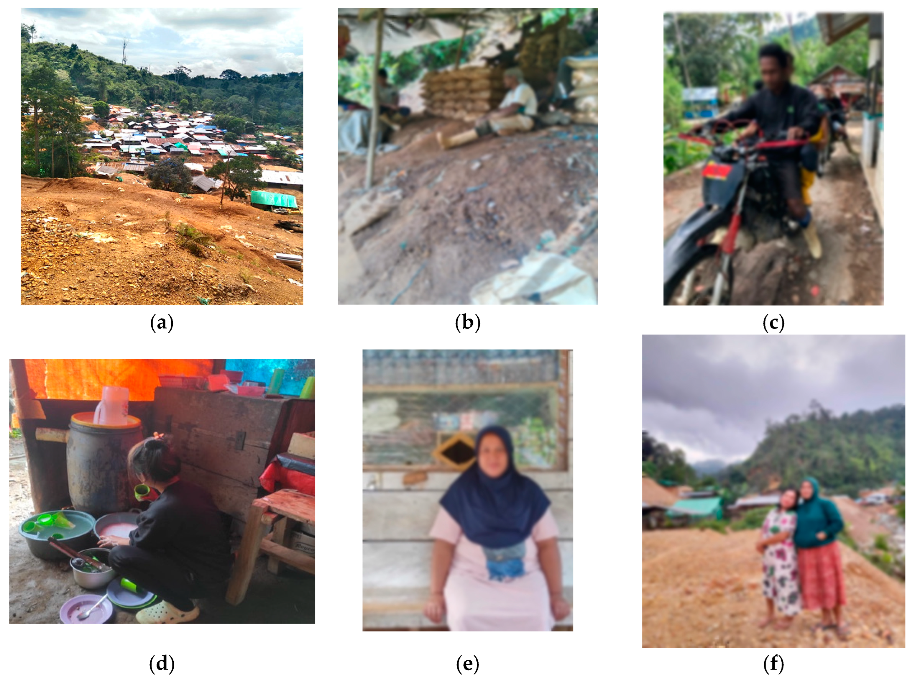 IJERPH Free Full-Text Rural Knowledge Transformation in Terms of Mercury Used in Artisanal Small-Scale Gold Mining (ASGM)andmdash;A Case Study in Gorontalo, Indonesia photo