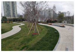 Ijerph 20 06642 i003