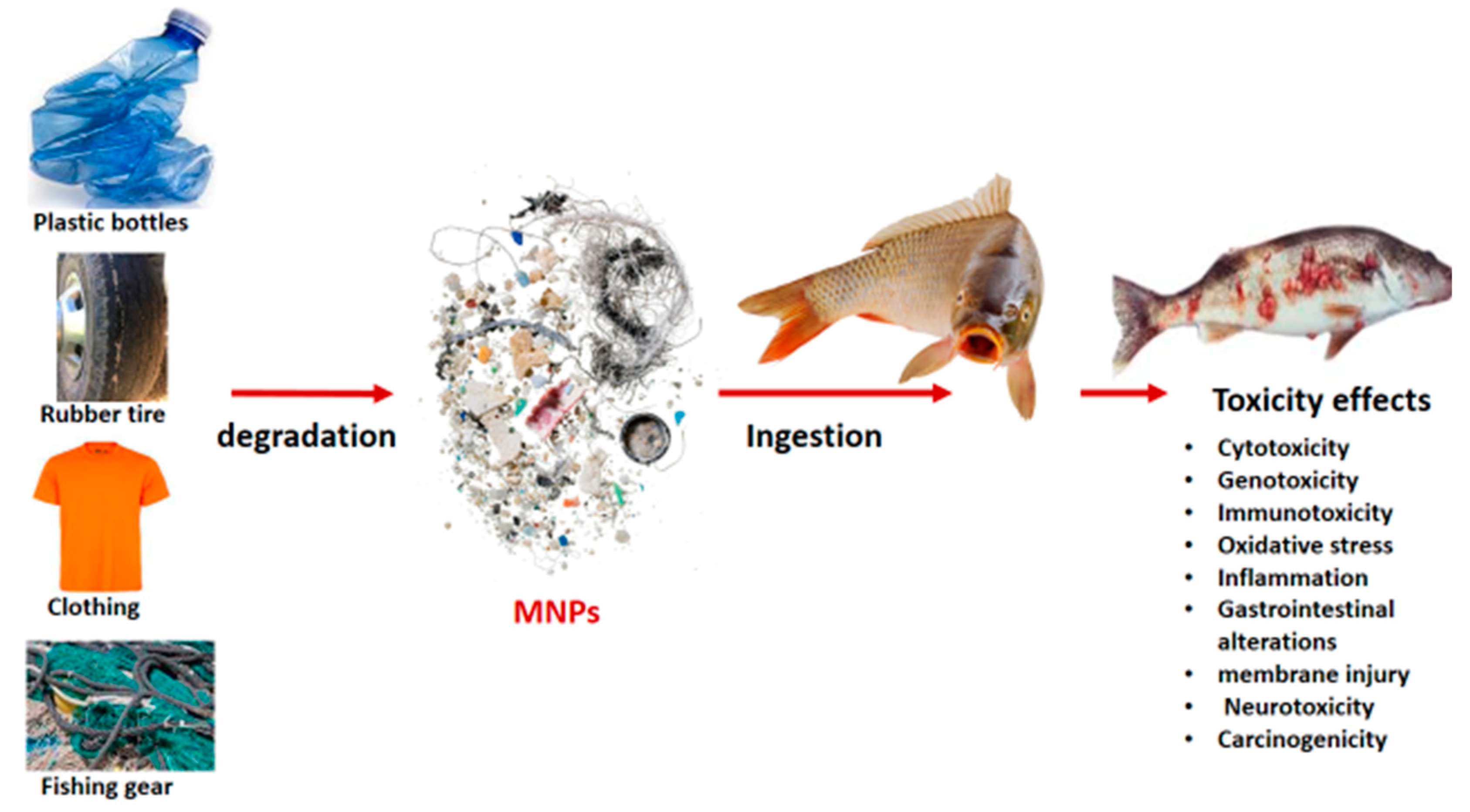 Ijerph 20 06667 g004