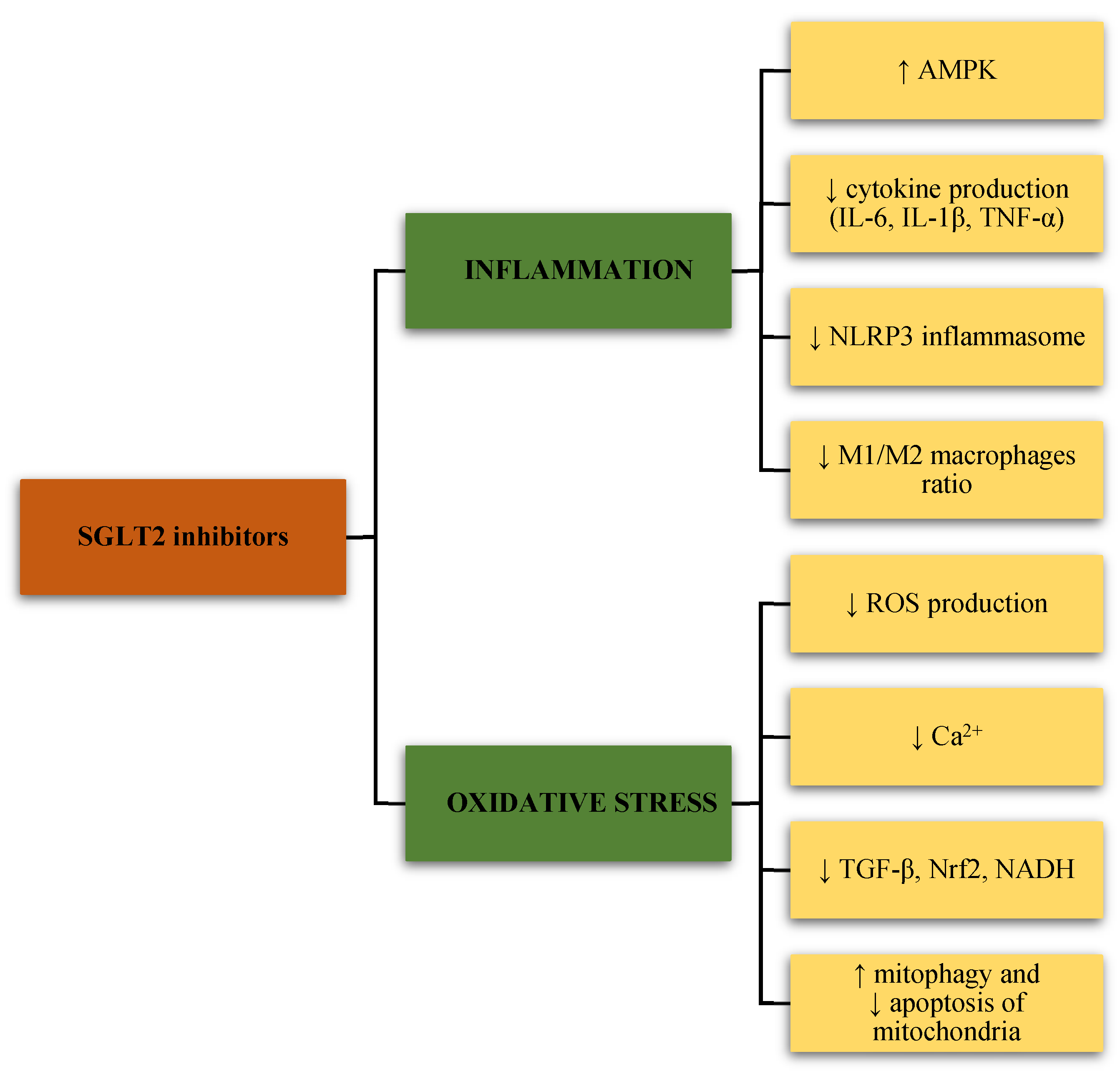 Ijerph 20 06671 g001