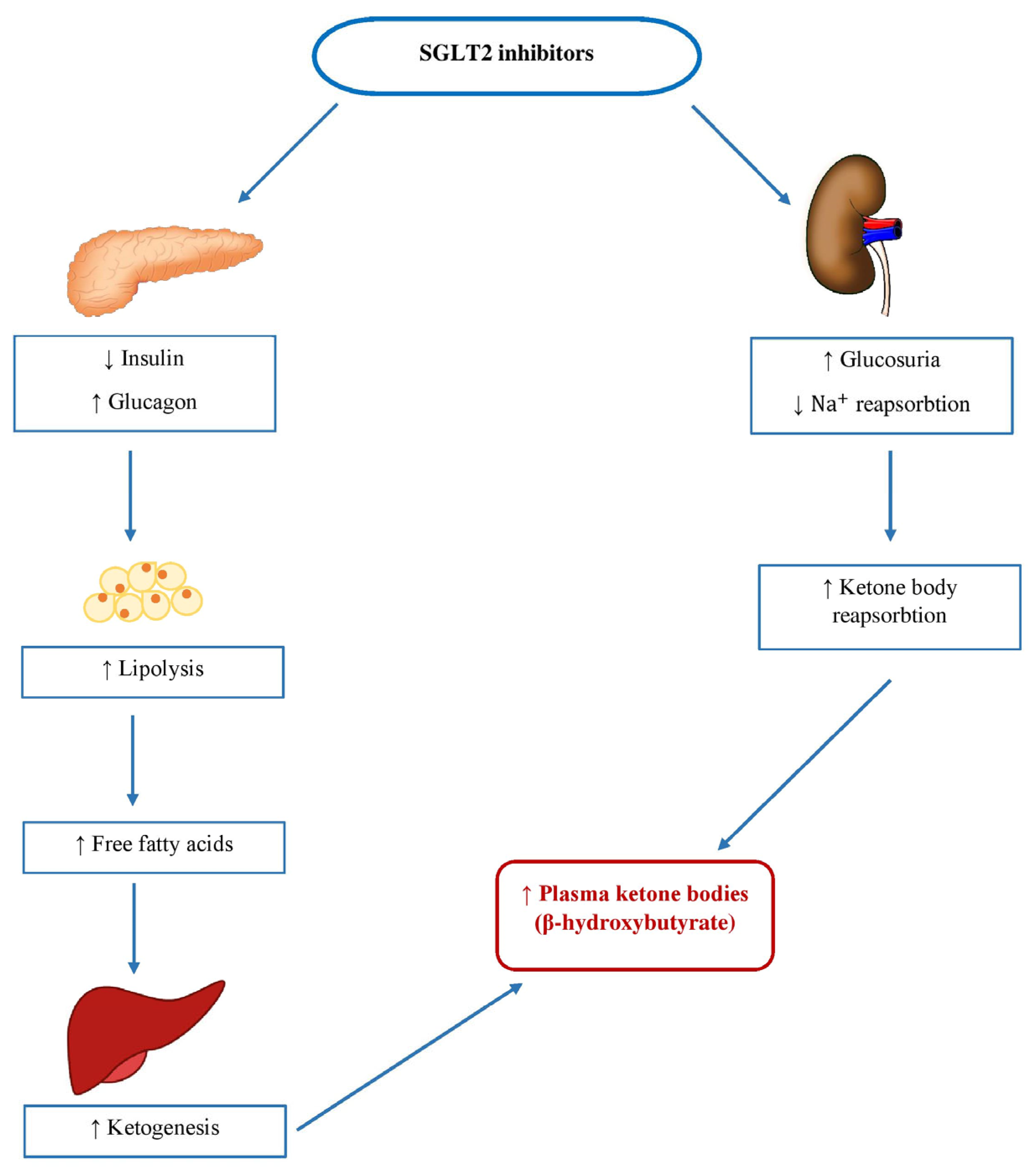 Ijerph 20 06671 g003