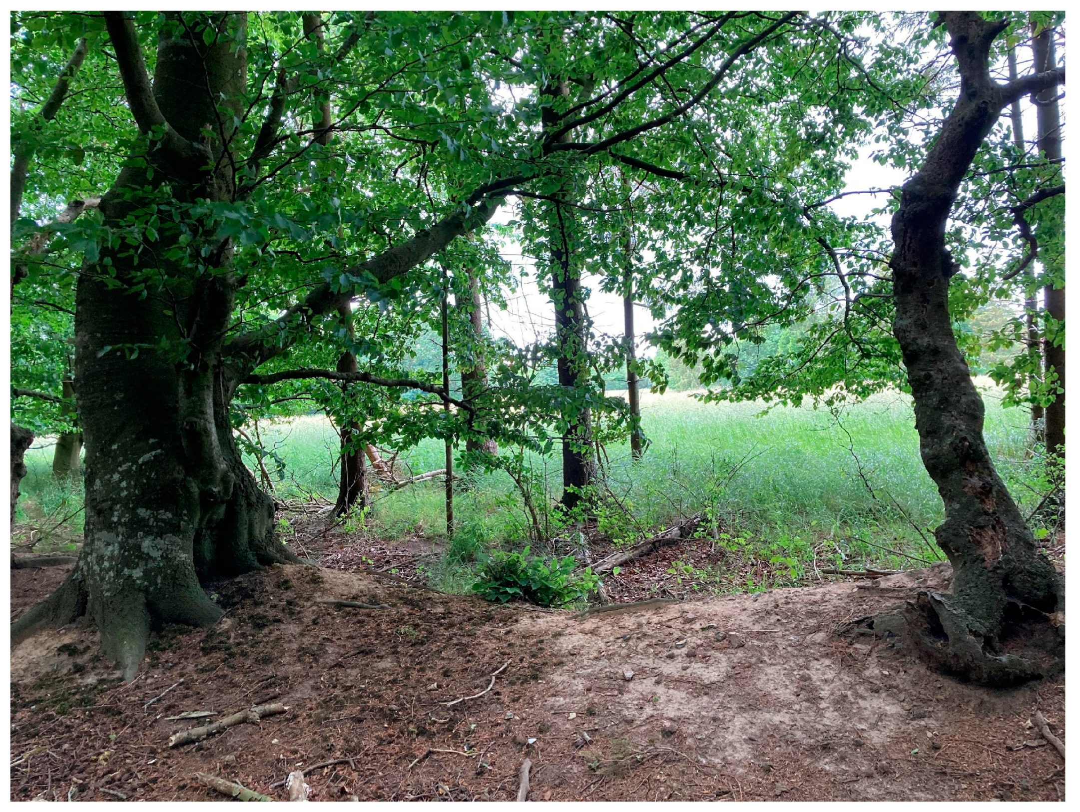 Ijerph 20 06689 g004