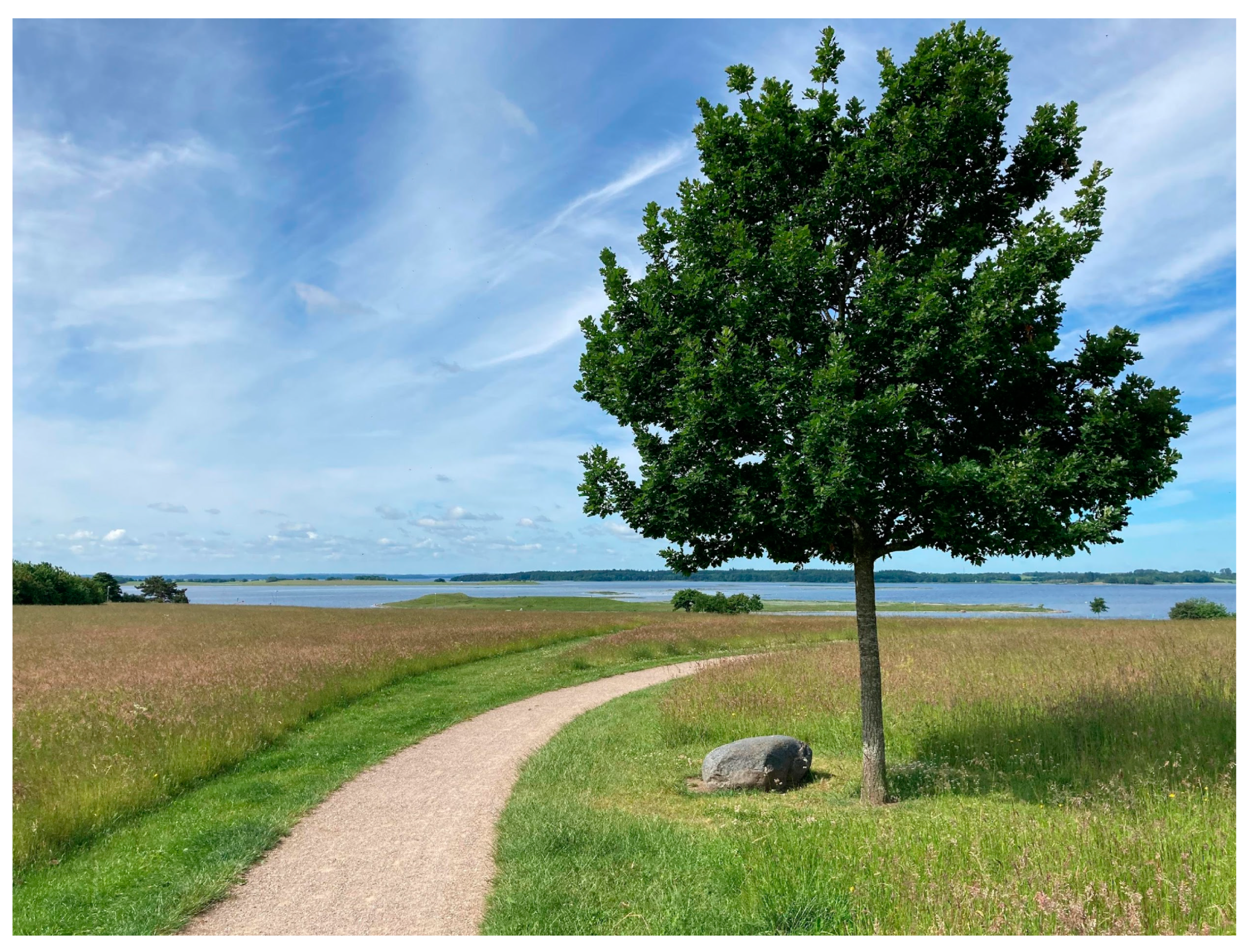 Ijerph 20 06689 g006