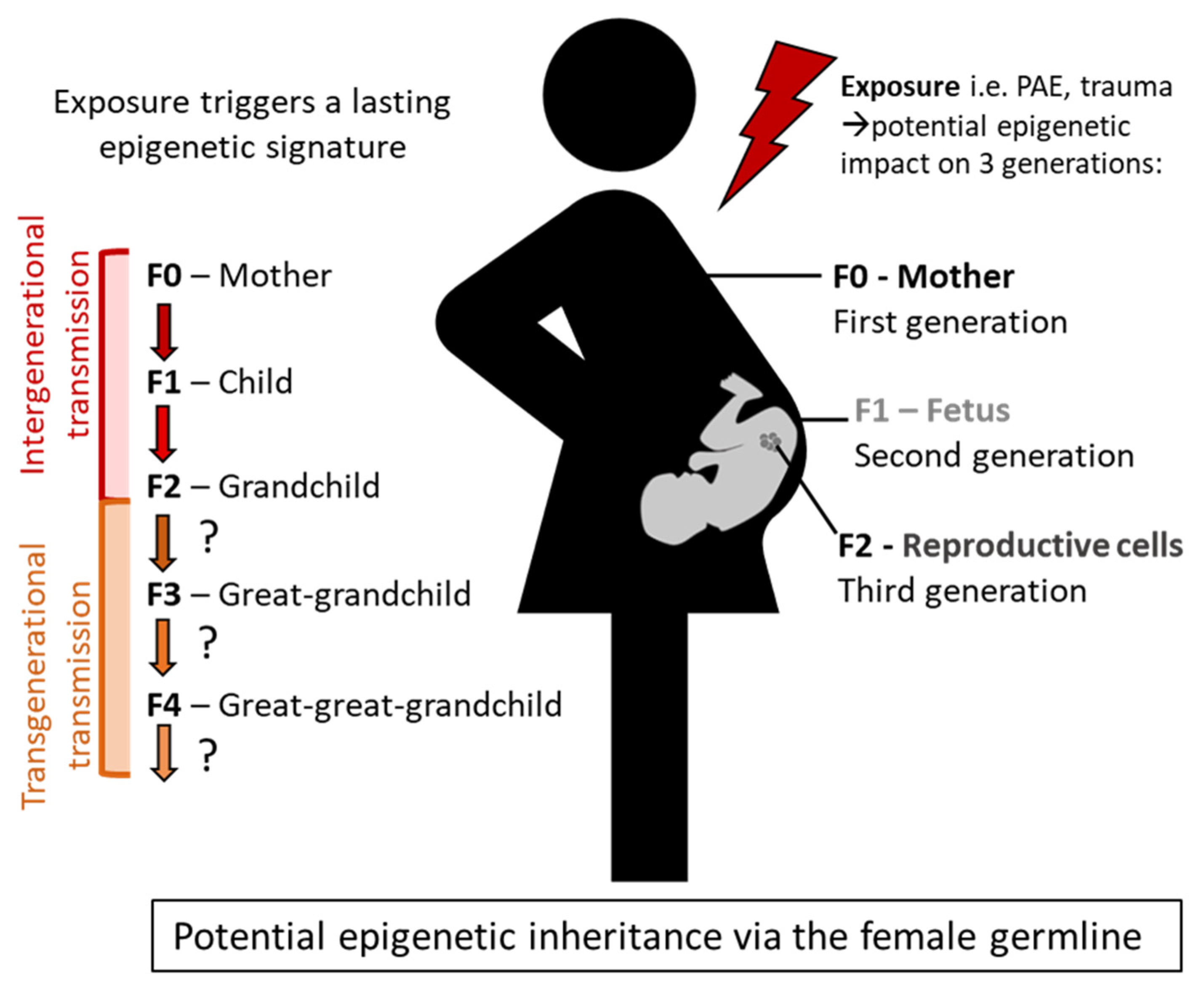 Ijerph 20 06706 g002