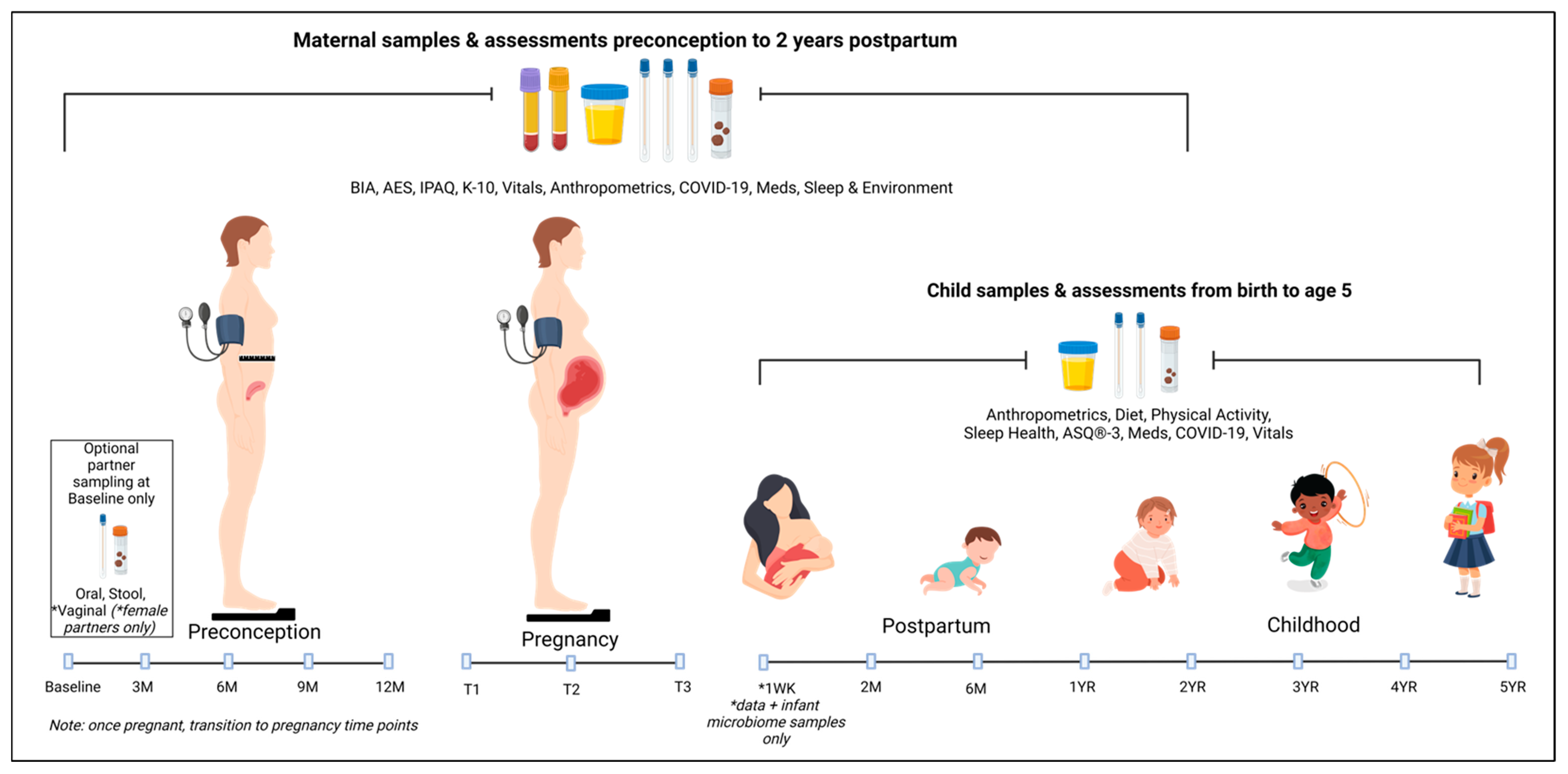 Ijerph 20 06736 g001