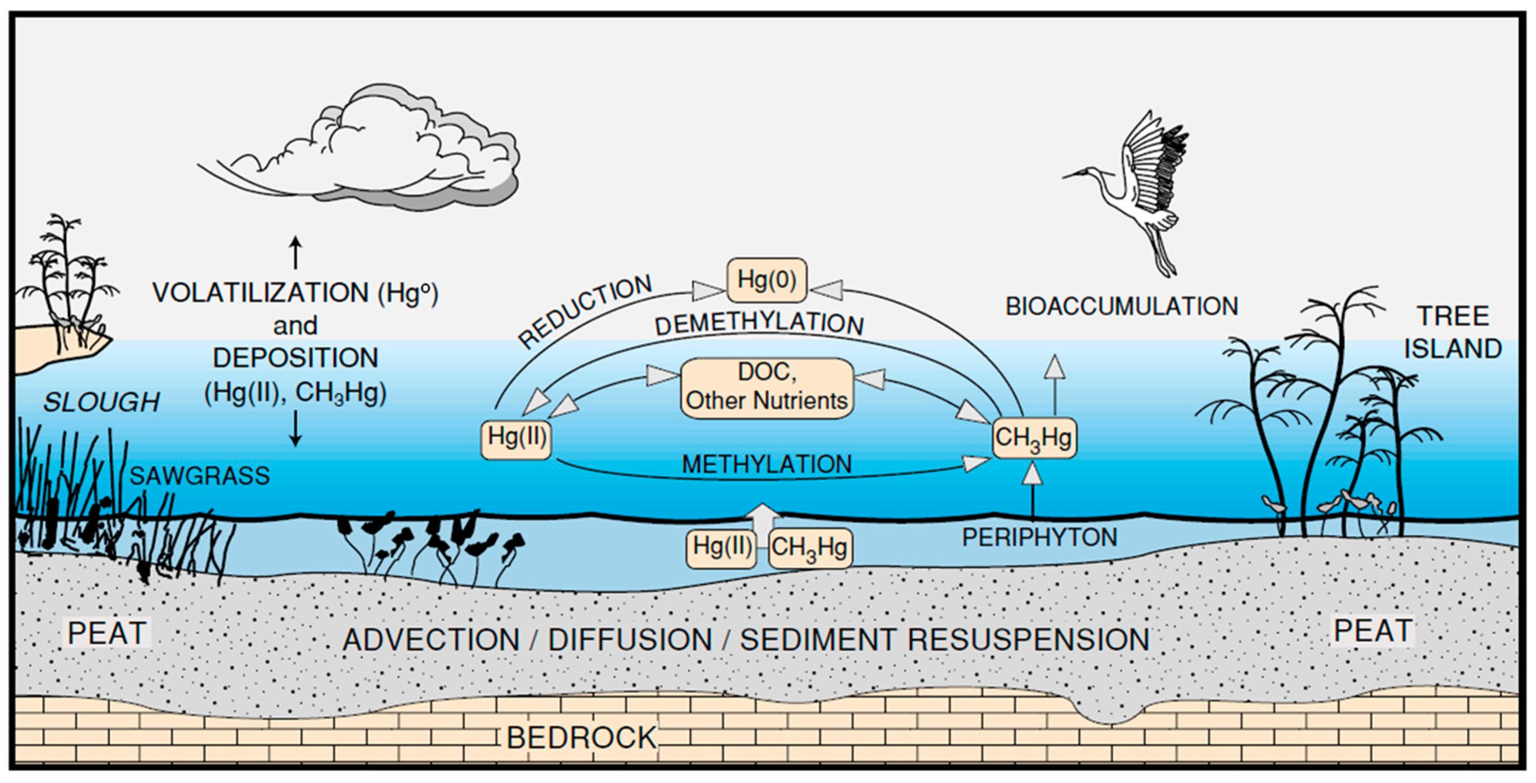 Ijerph 21 00118 g017 Ijerph 21 00118 g017