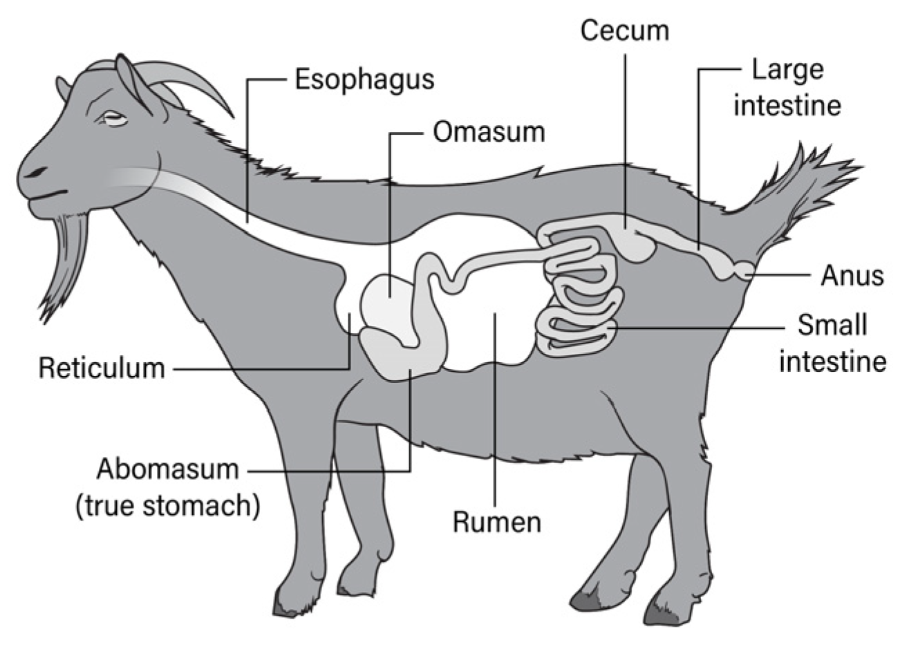 Ijerph 21 00126 g001 Ijerph 21 00126 g001