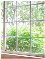 Ijerph 21 00329 i001 Ijerph 21 00329 i001