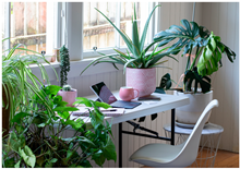 Ijerph 21 00329 i002 Ijerph 21 00329 i002