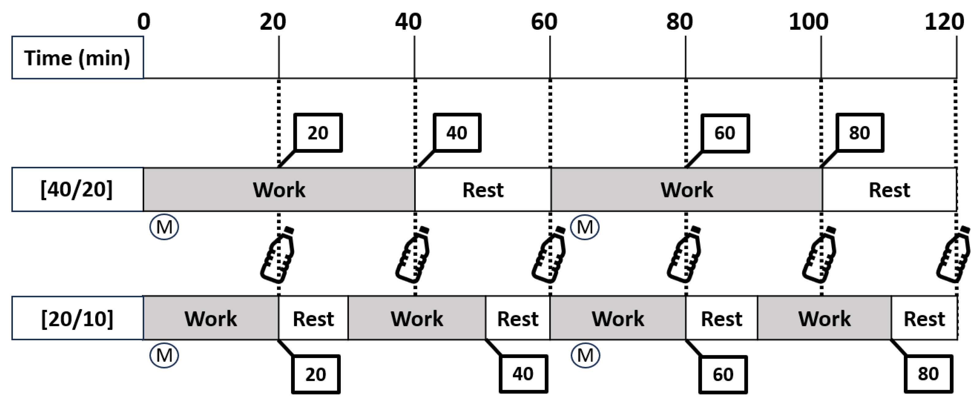 Ijerph 21 00371 g001