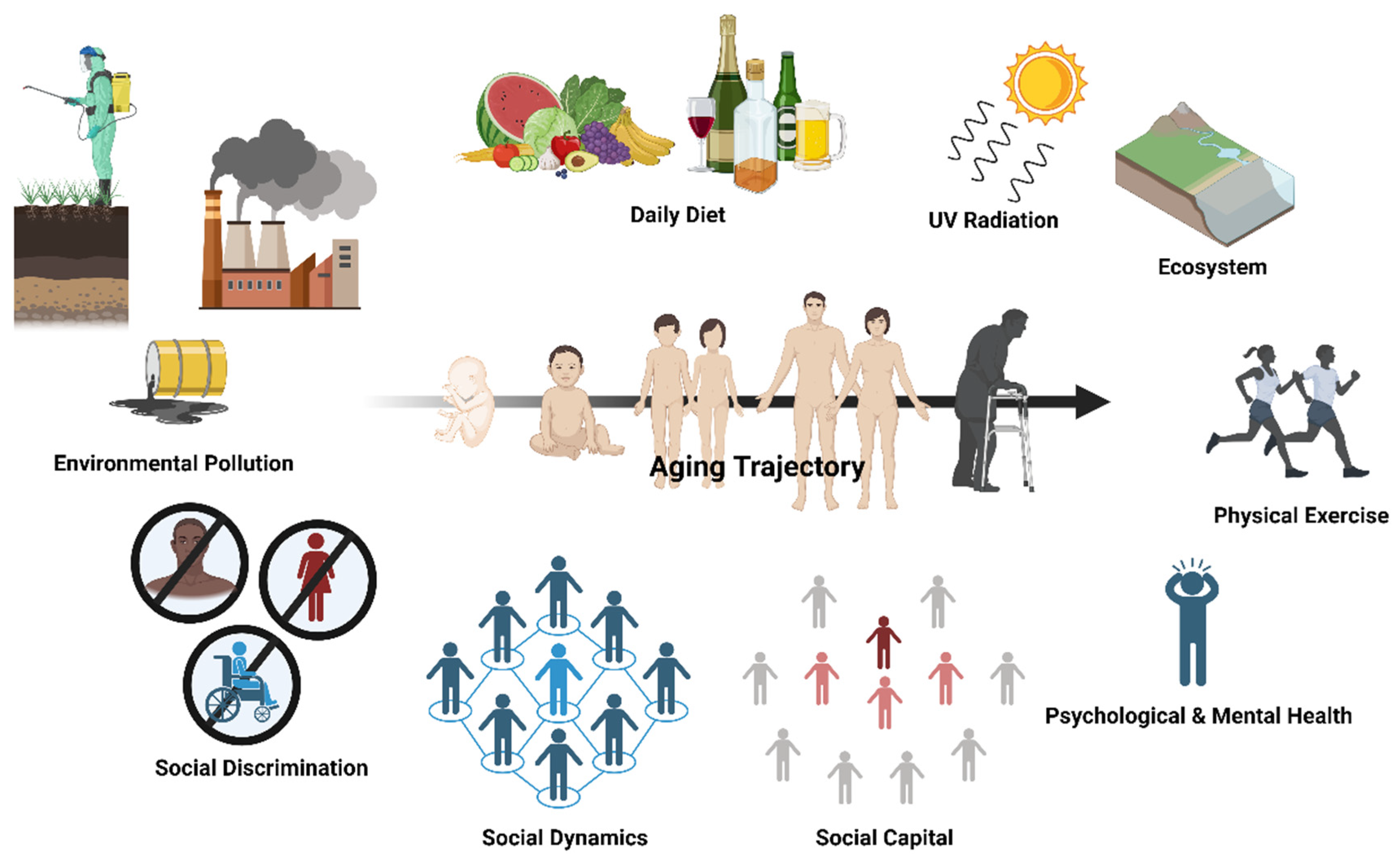 Ijerph 21 00554 g001 Ijerph 21 00554 g001