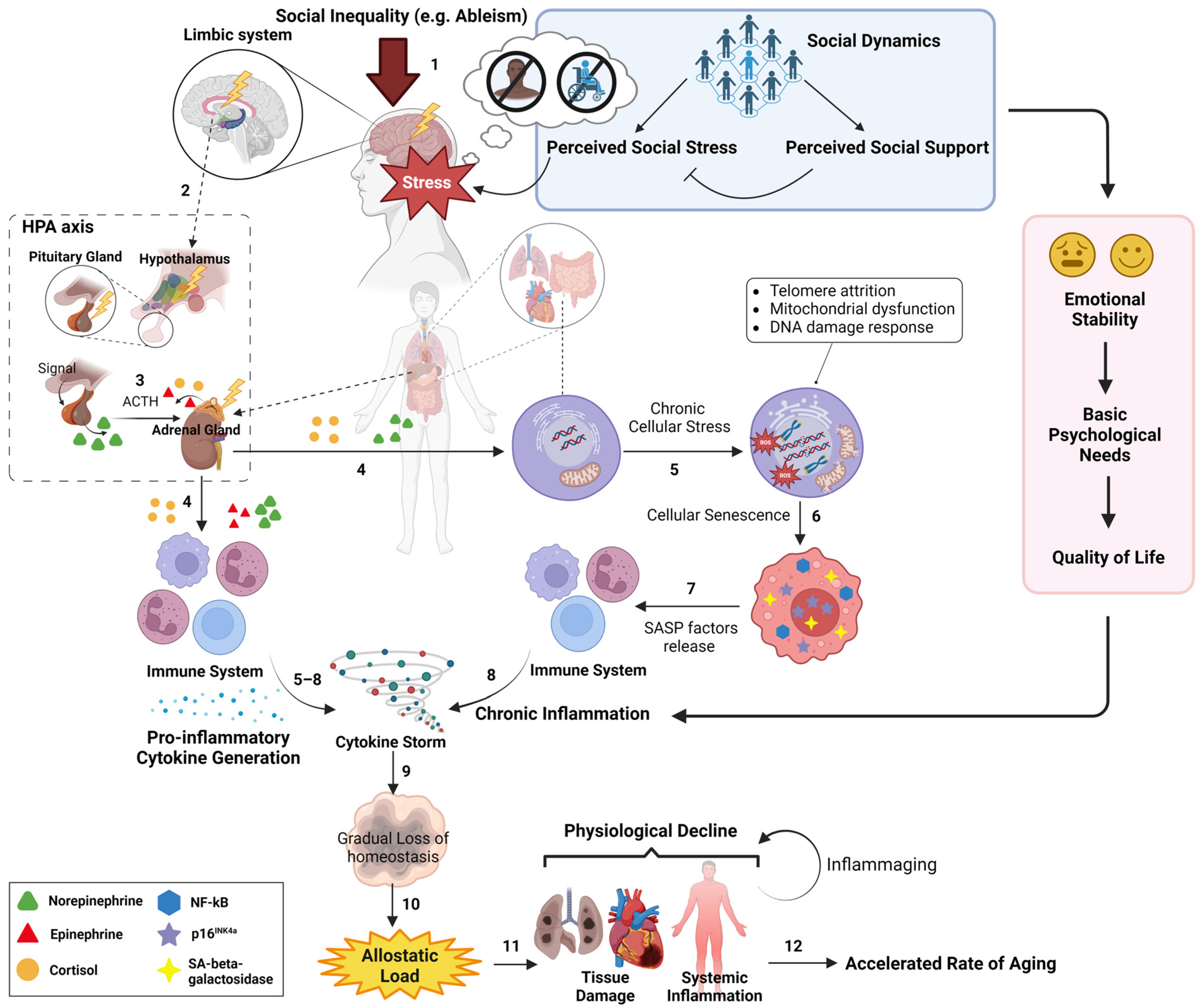 Ijerph 21 00554 g003 Ijerph 21 00554 g003
