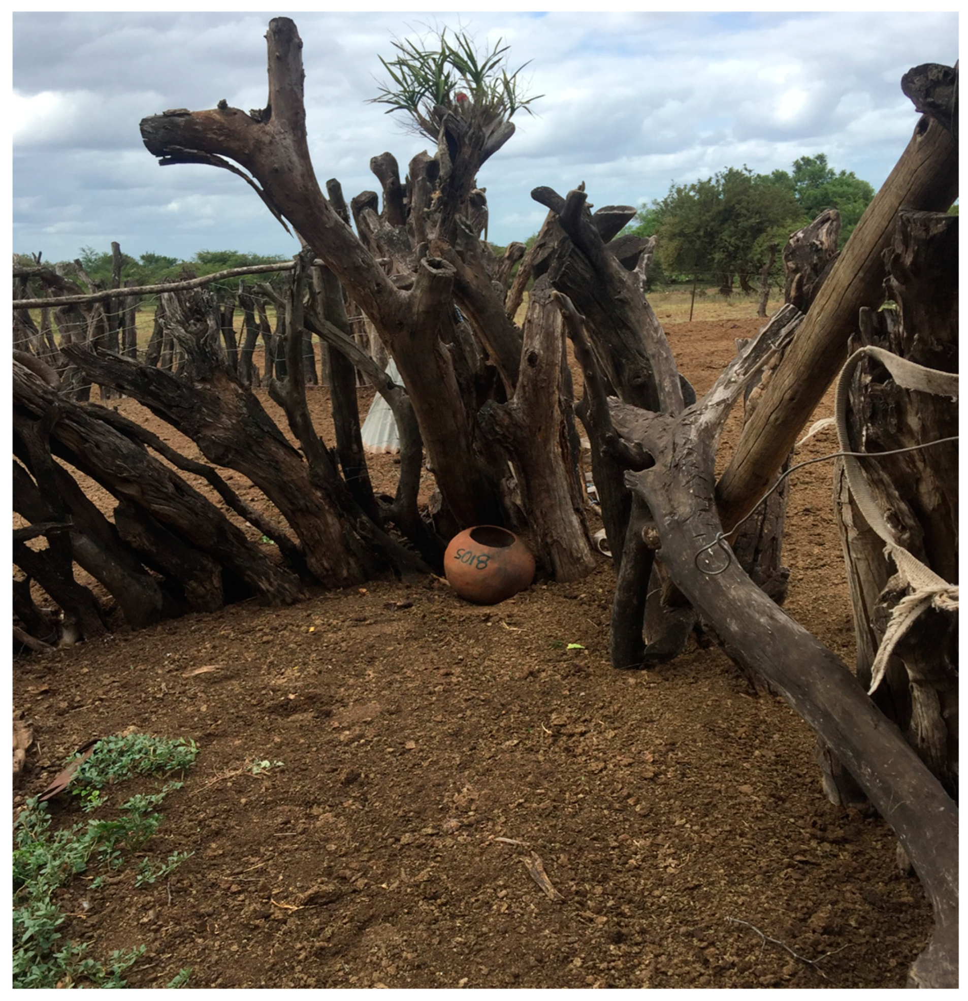 Ijerph 21 00558 g002