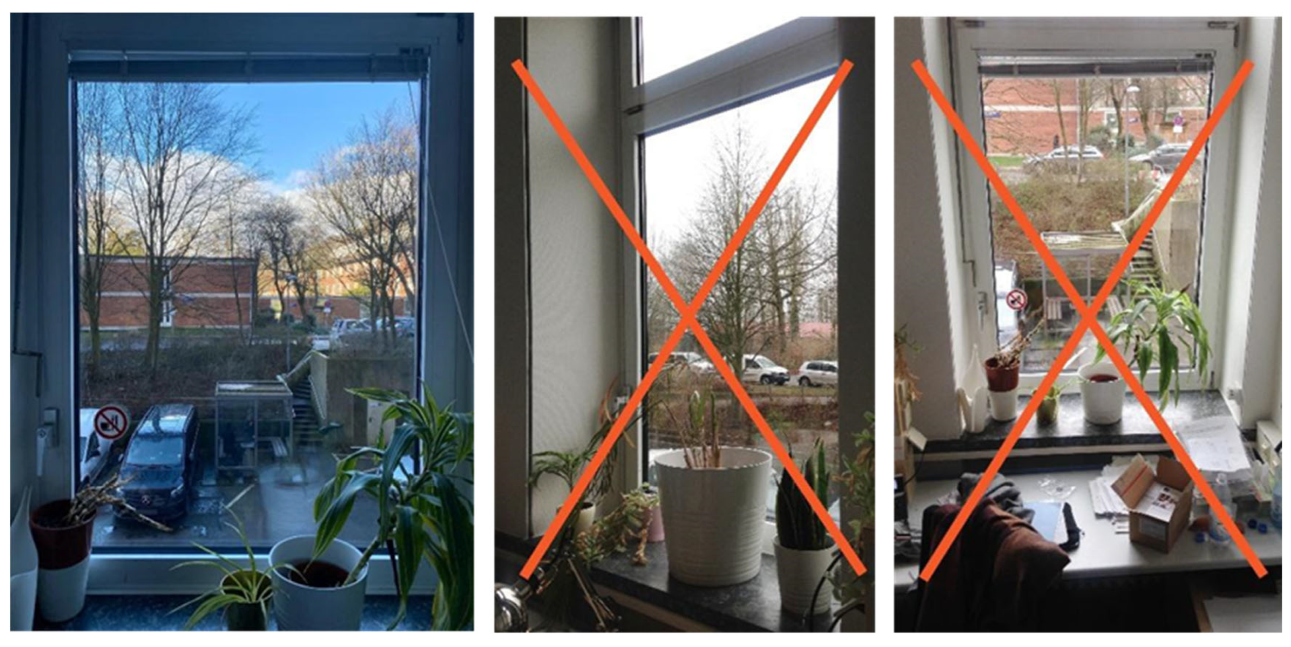 Ijerph 21 00598 g0a1