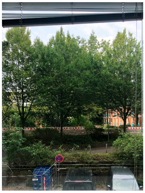 Ijerph 21 00598 i001