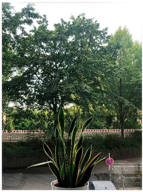 Ijerph 21 00598 i002