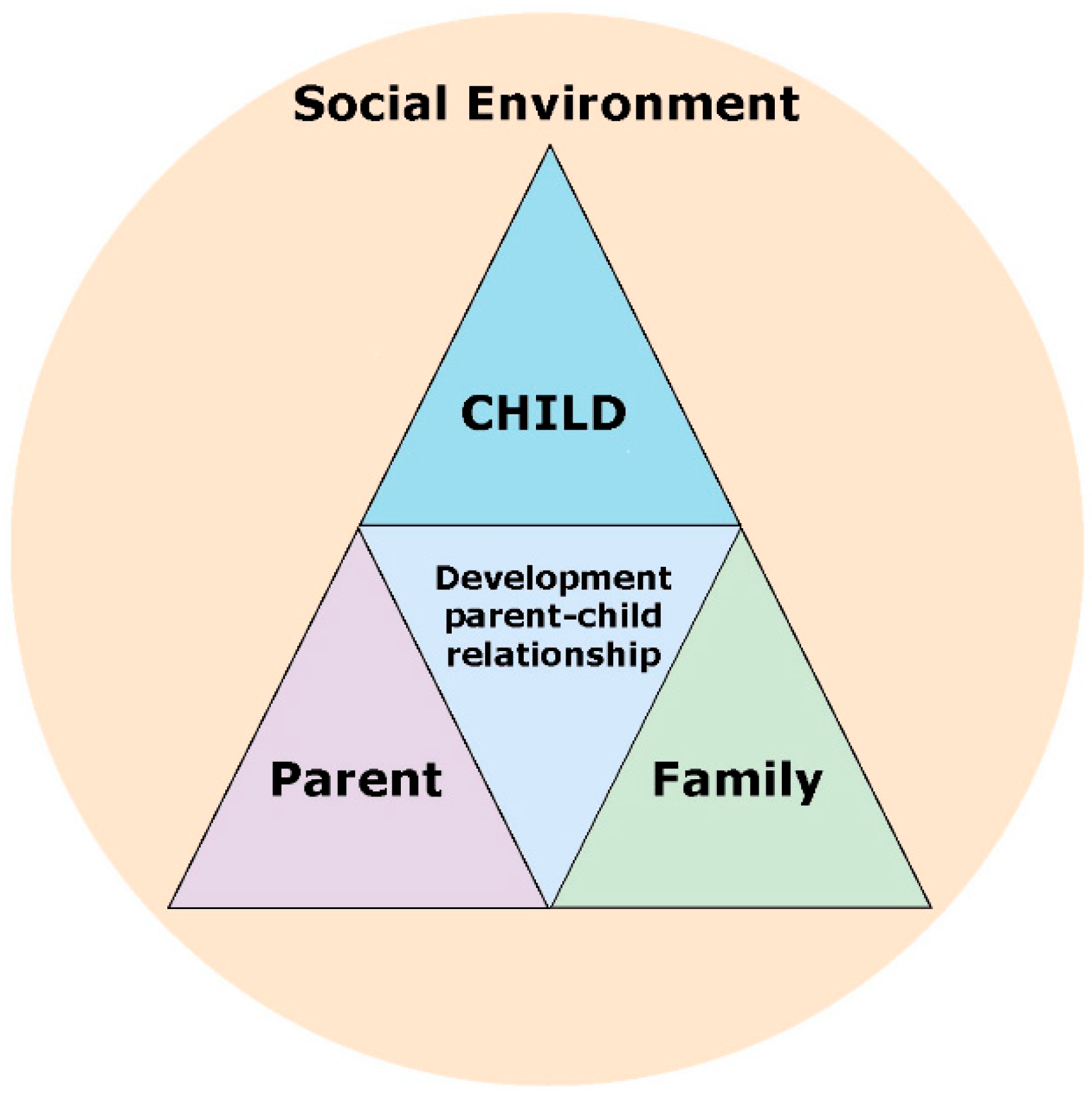 Ijerph 21 00640 g001