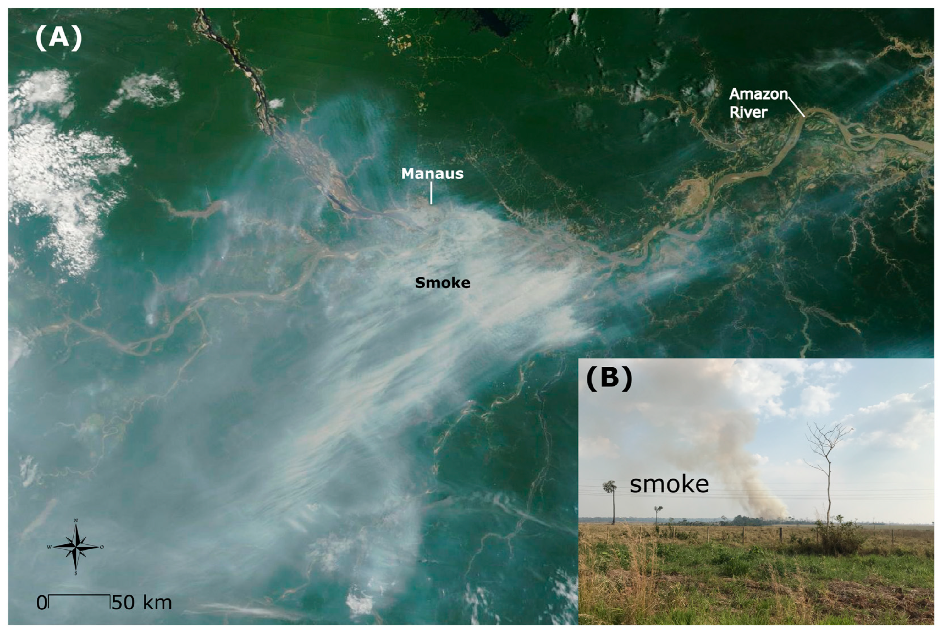 Ijerph 21 00675 g005