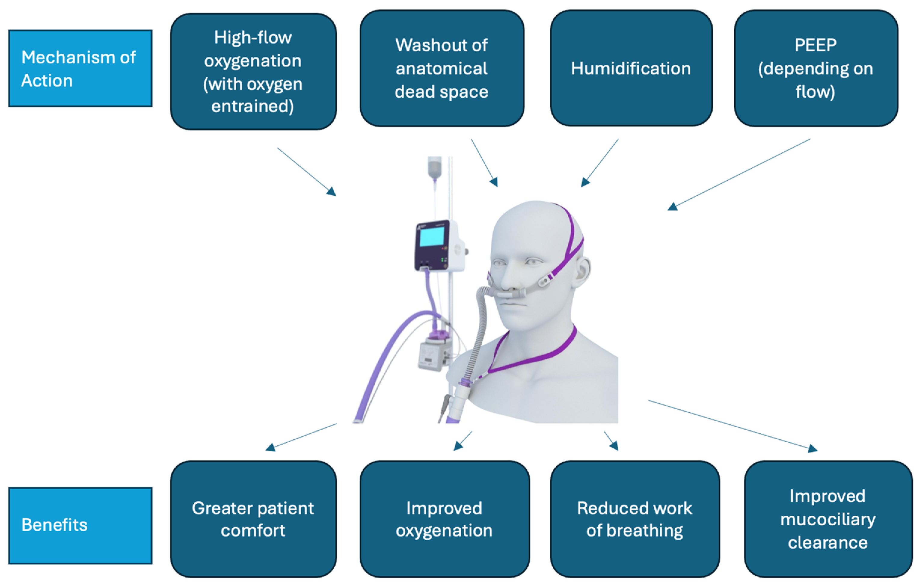 Ijerph 21 00705 g001