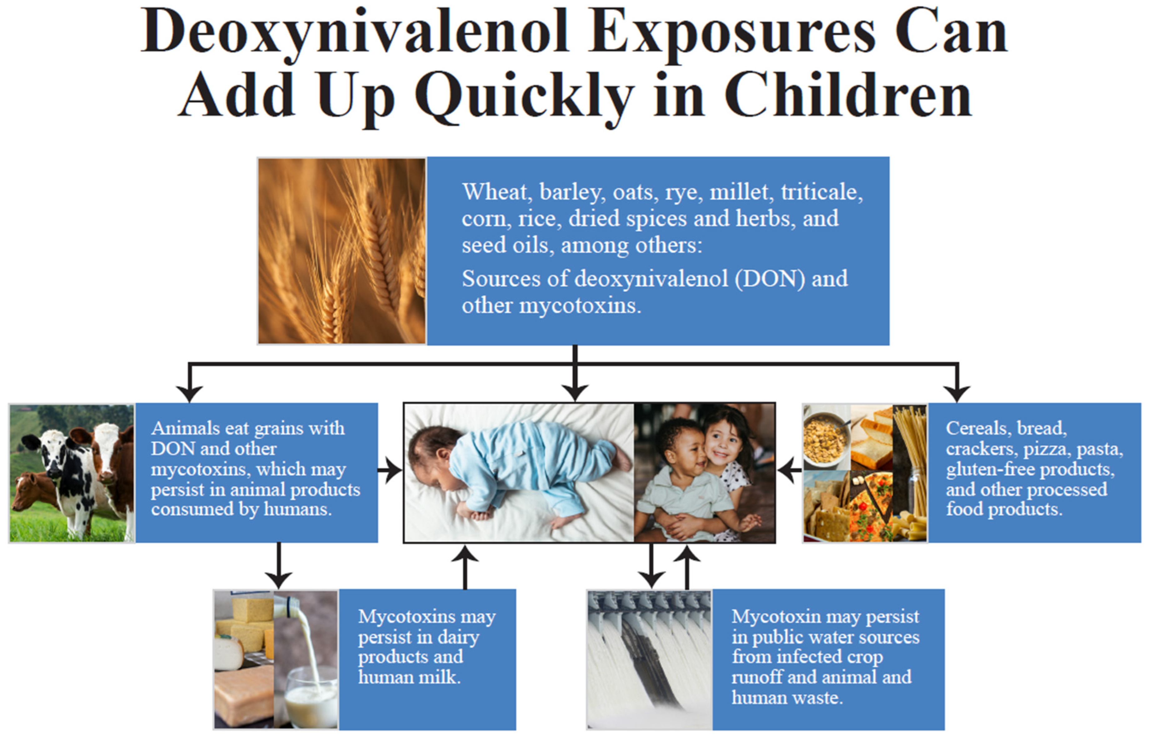 Ijerph 21 00808 g002