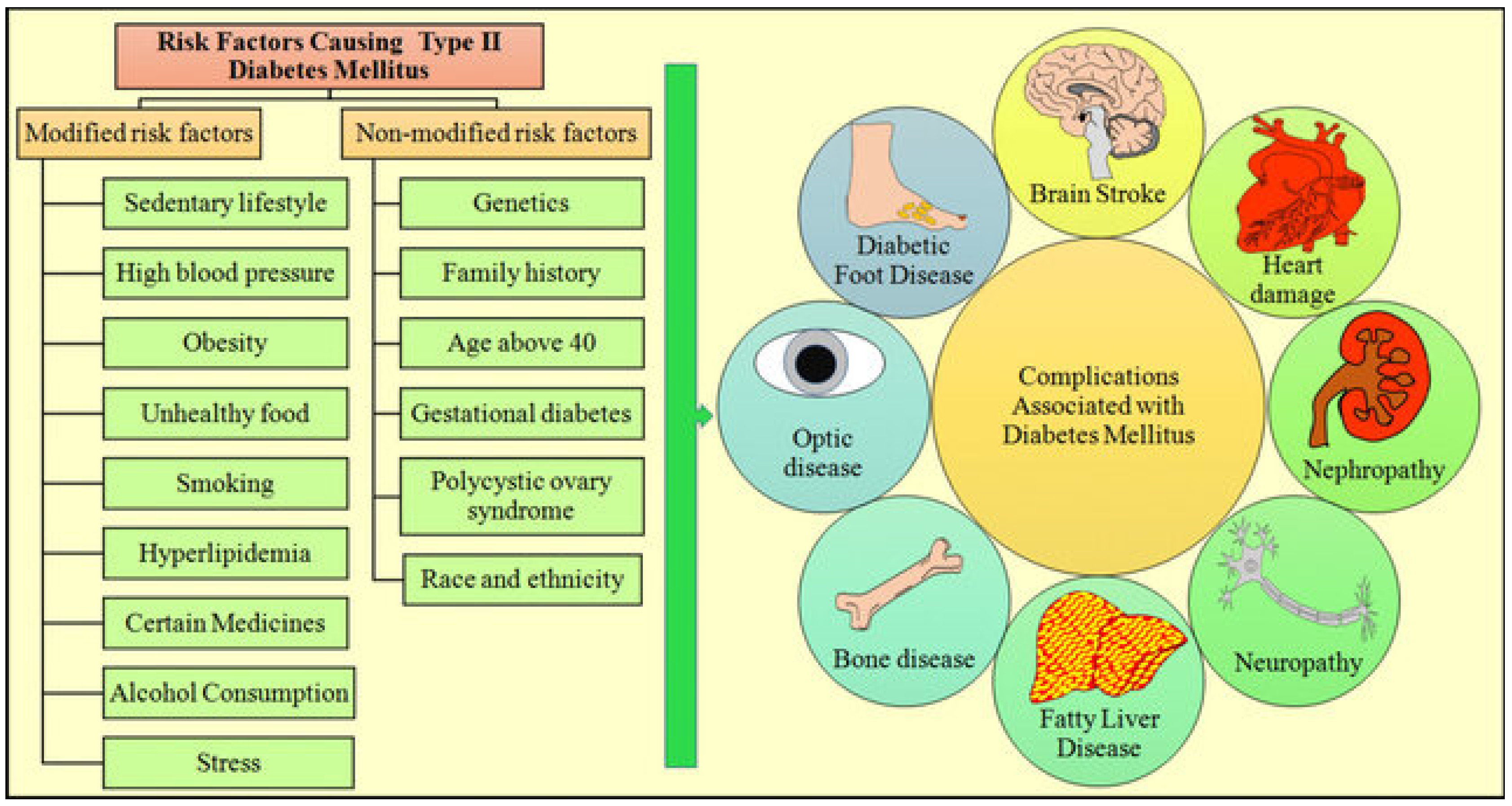 Ijerph 21 00840 g001
