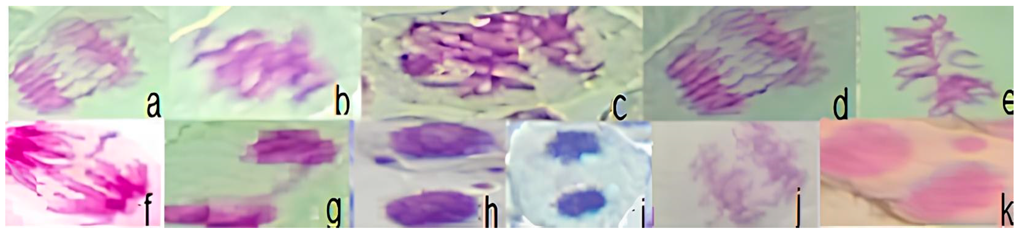 Ijerph 21 00871 g007