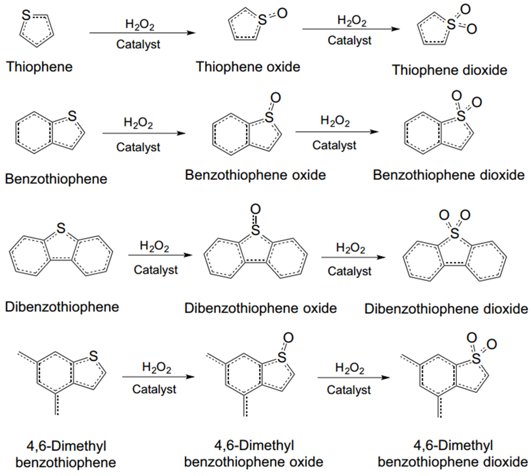 Ijerph 21 00914 g001
