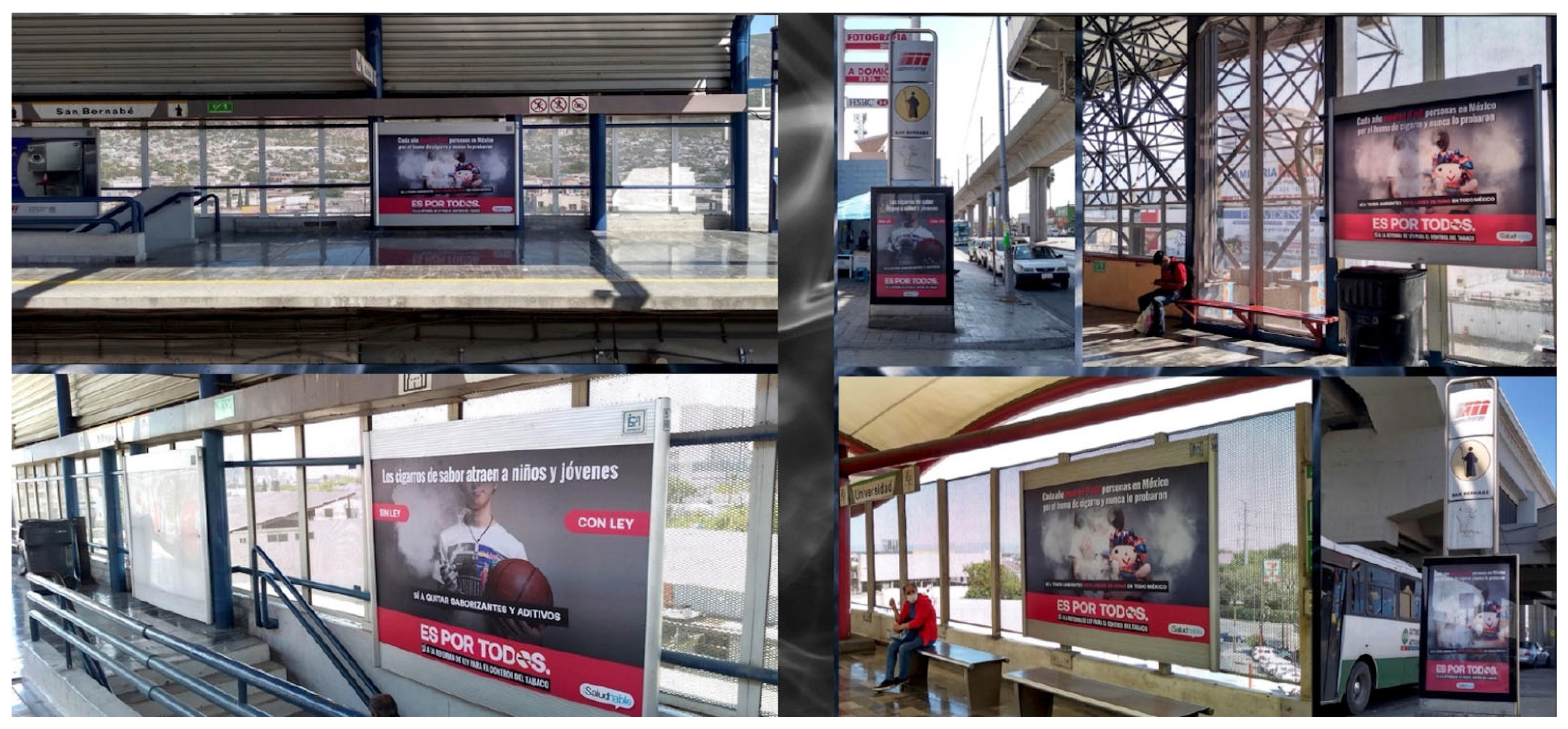 Ijerph 21 00917 g002