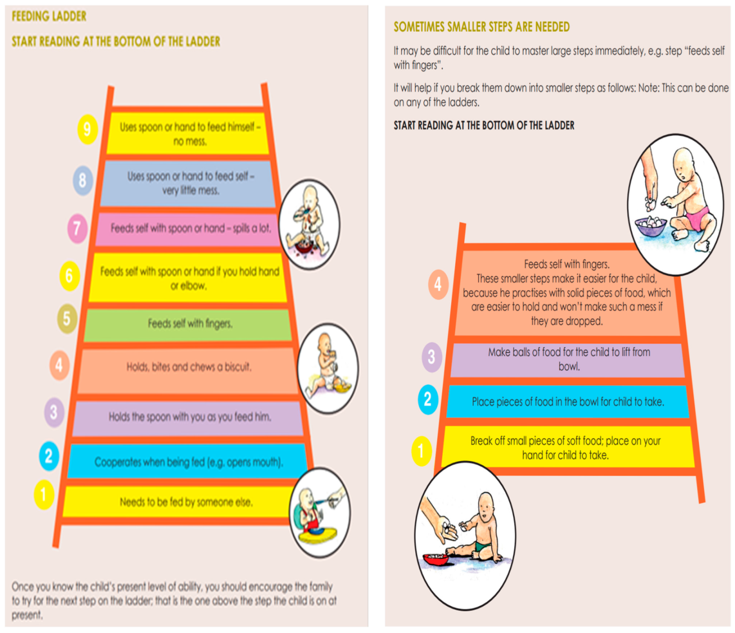 Ijerph 21 00925 g002