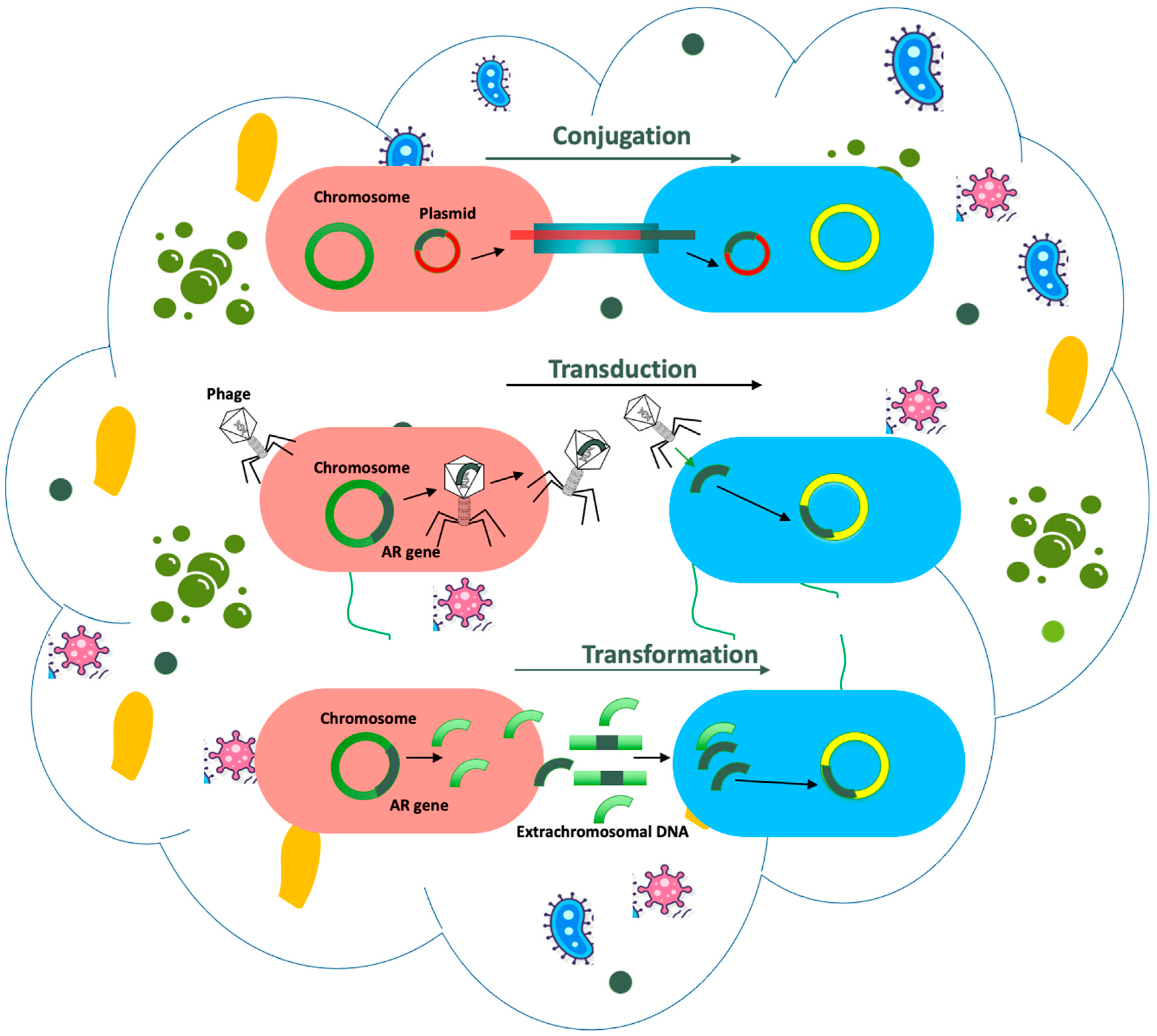 Ijerph 21 00983 g004