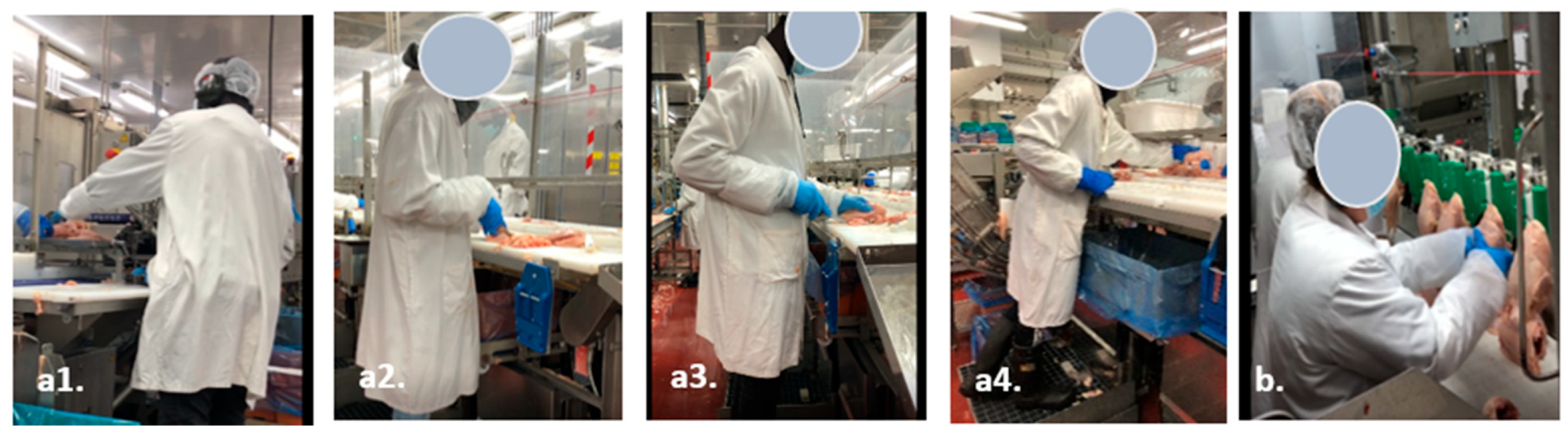 Ijerph 21 00997 g002