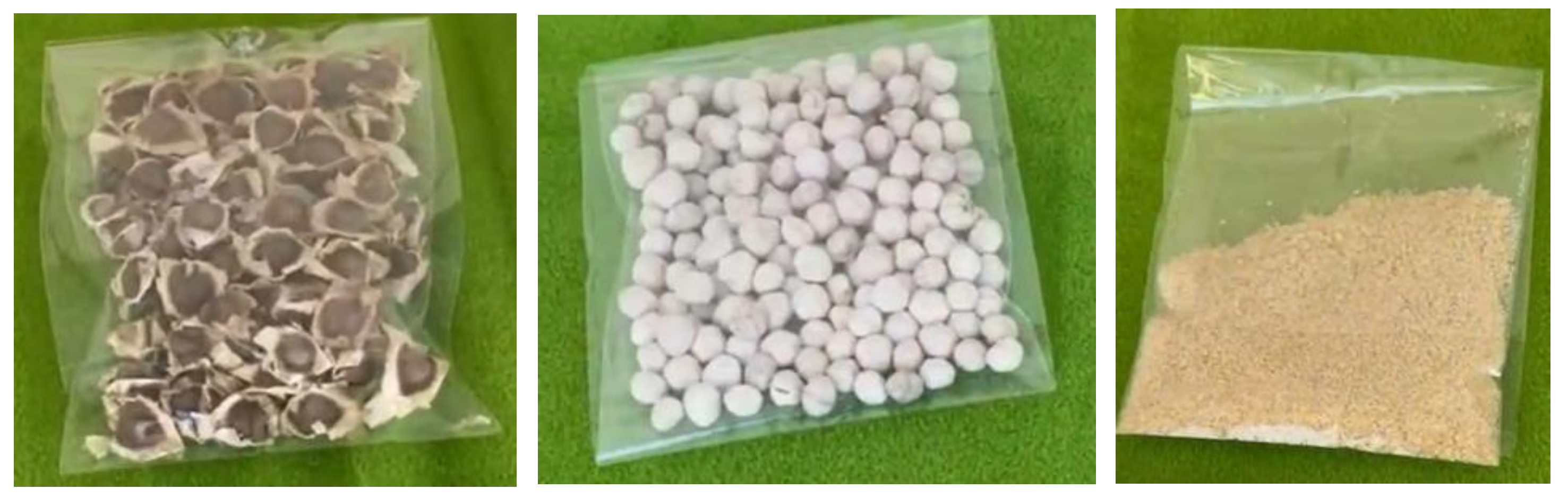 Ijerph 21 01031 g002