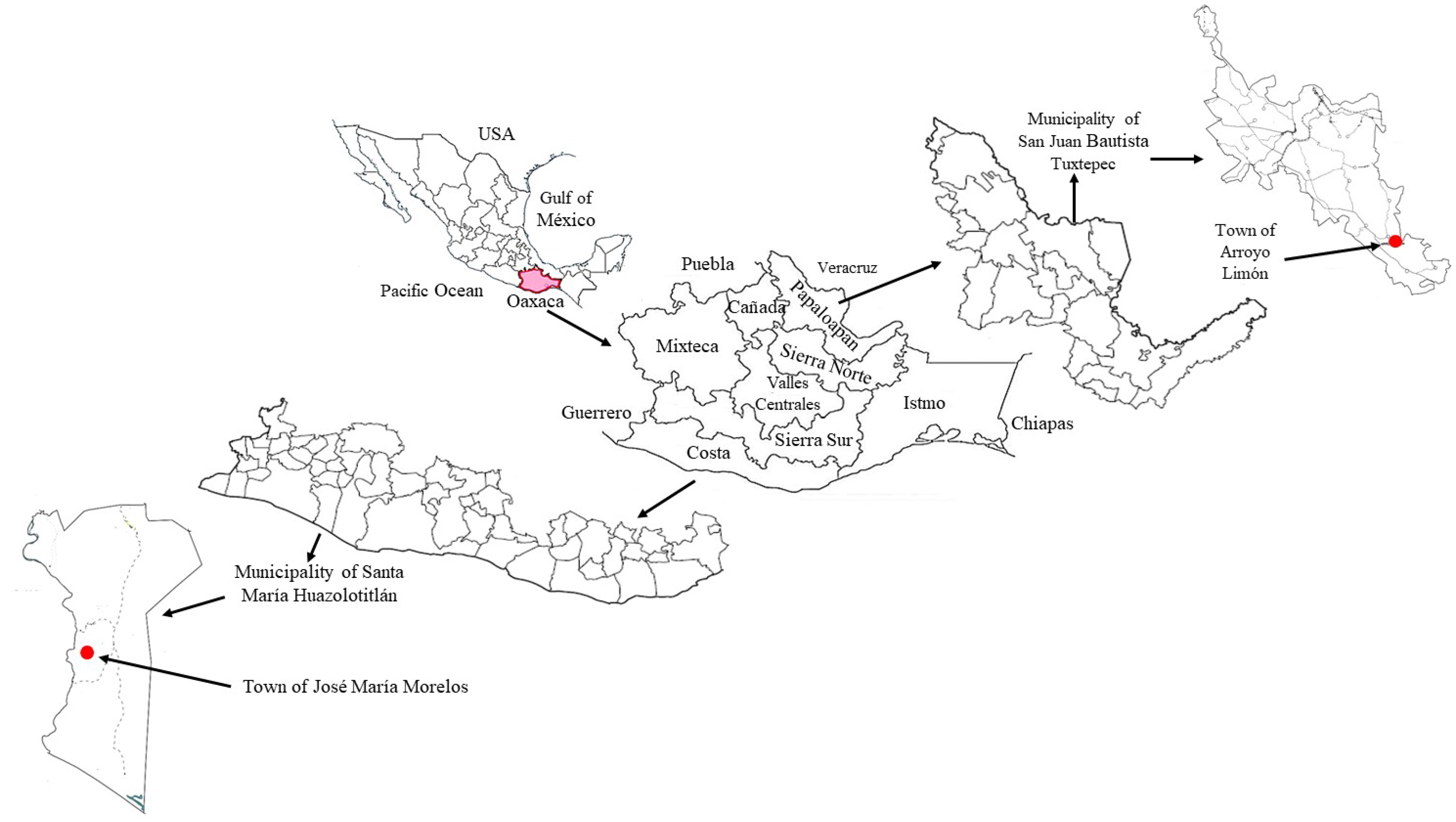 Ijerph 21 01061 g001