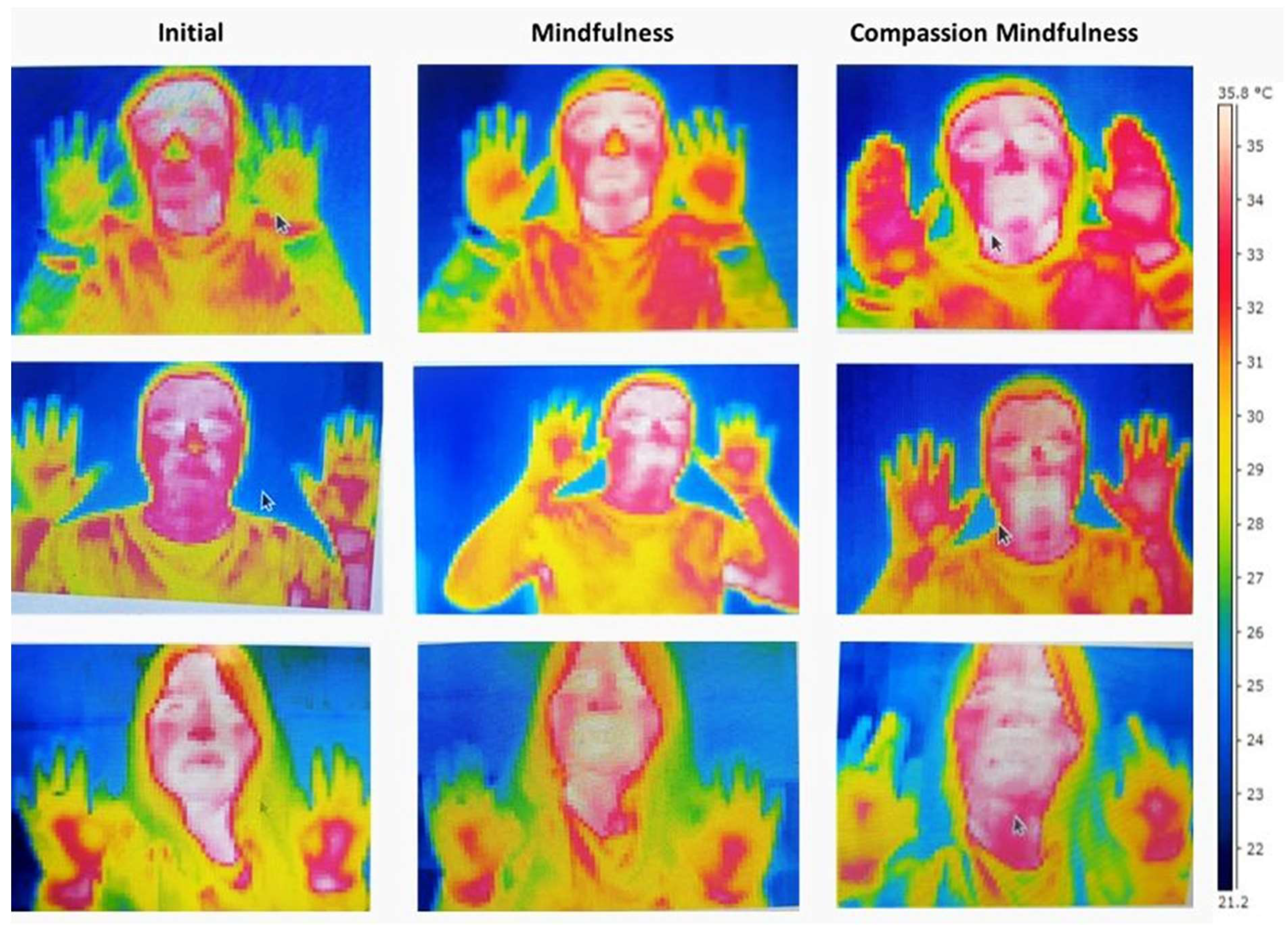 Ijerph 21 01064 g006 Ijerph 21 01064 g006